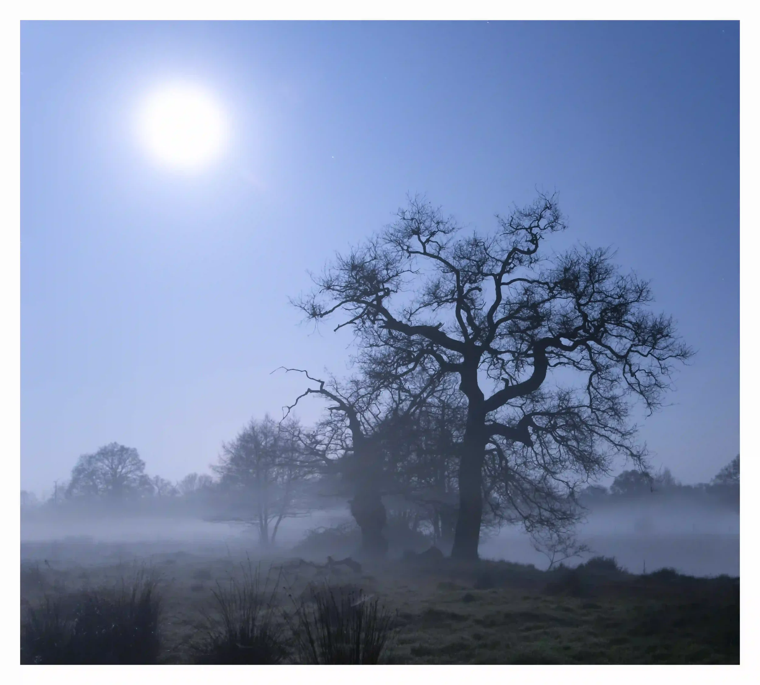 GHOSTLY
St Catherines Lock, Guildford, Surrey, UK.
A soothing night when temperatures dropped and shallow yet dense blankets of mist had formed upon the neighbouring fields of the river. It was not just one static carpet of mist either; as it was mul