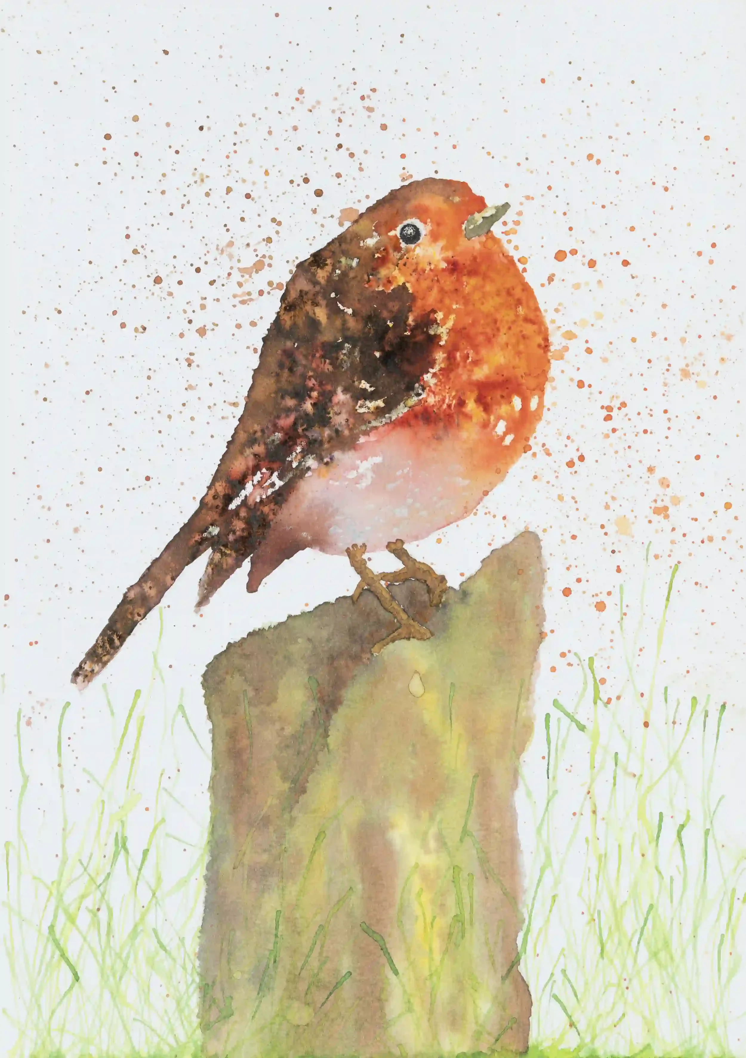 PERCHED ROBIN; A robin who looked at such comfort and ease sitting close to me. Making me feel warmly welcomed as I sat amongst nature. Inspired by own photo. Inks on A4 watercolour paper.