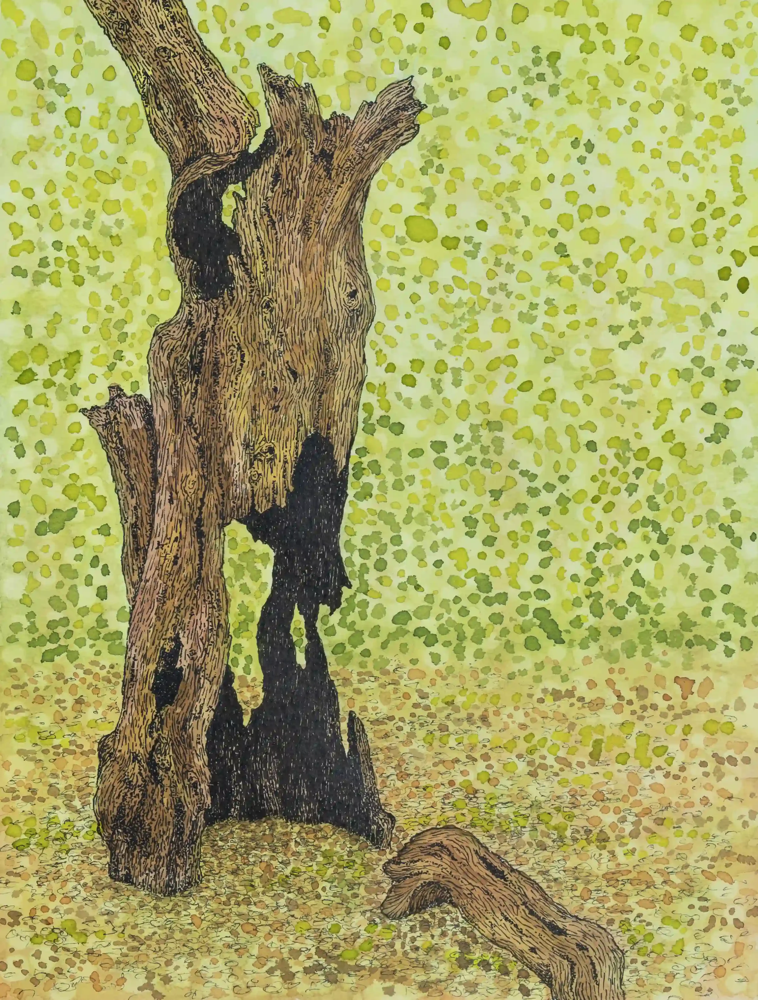 STILL STANDING WITH WARMTH   
Fine line pen and Inks on A4 watercolour paper.
Inspired by own photo from River Wey, Godalming.
What still stands from a decaying tree. I’m not sure what the story was behind the tree; yet on its outer shell it still ha