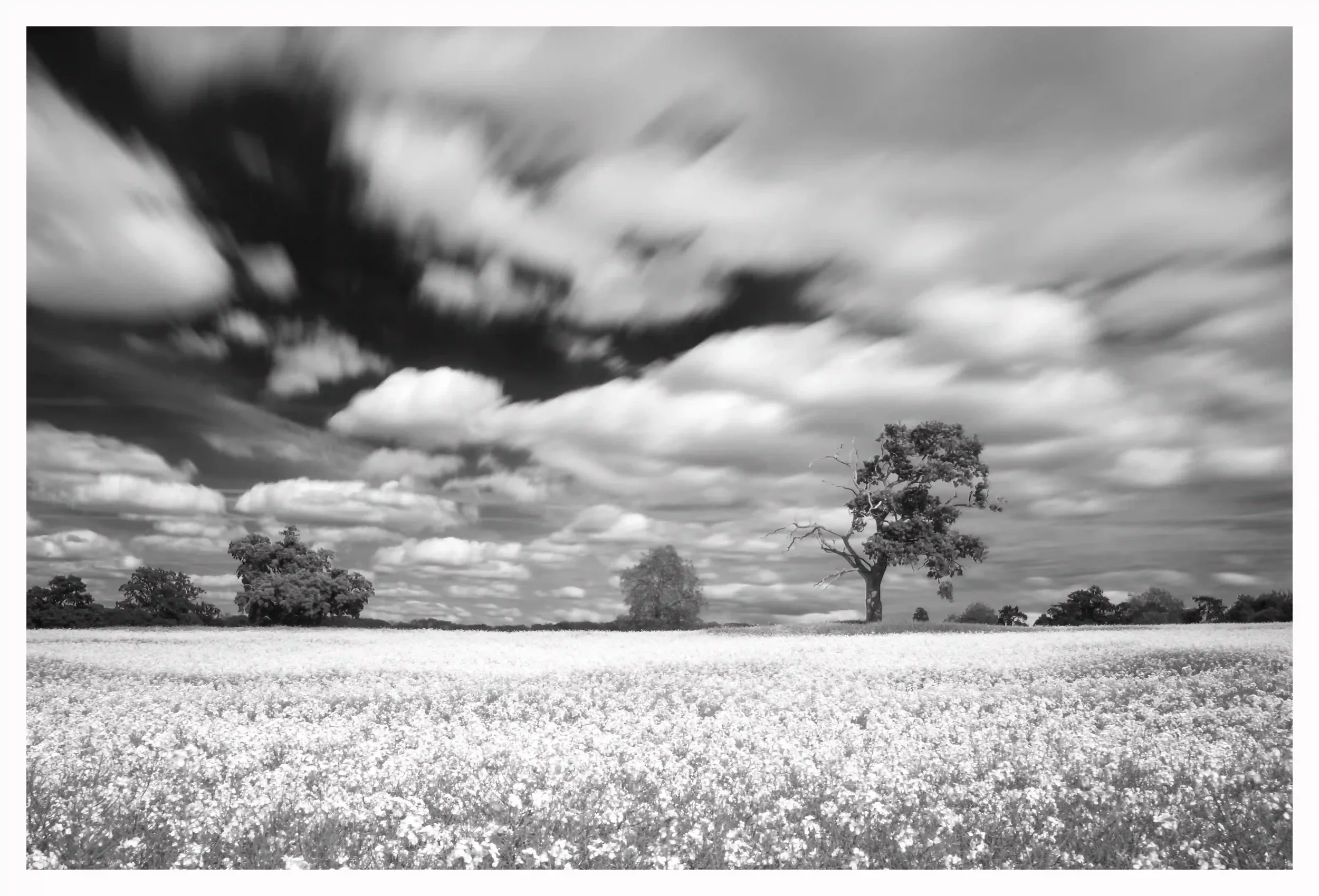 STANDING ALONE BW;
An oak tree that was standing firmly against the natural energy of a spring field and the continuous movement of the clouds in the sky. Amazing just how strong something so quiet can be,
Guildford, Surrey, UK.
