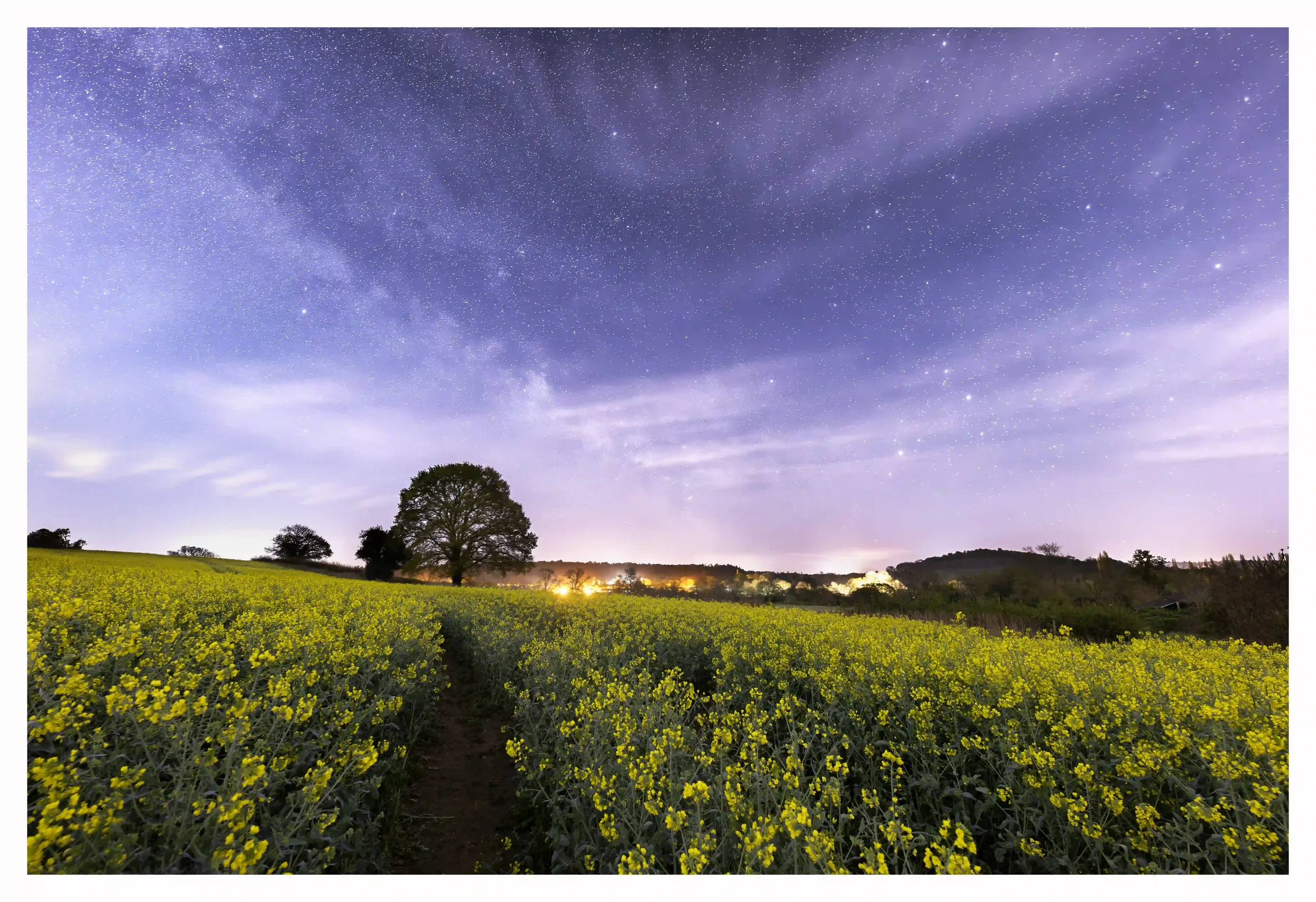 CHANTRY FIELD OF DREAMS
Chantry Woods, Guildford, Surrey, UK
A fresh April night as I stood amongst these warming golden fields and away from the town. It really did feel like a temporary escape from the nonstop hustle and bustle of modern life. The 