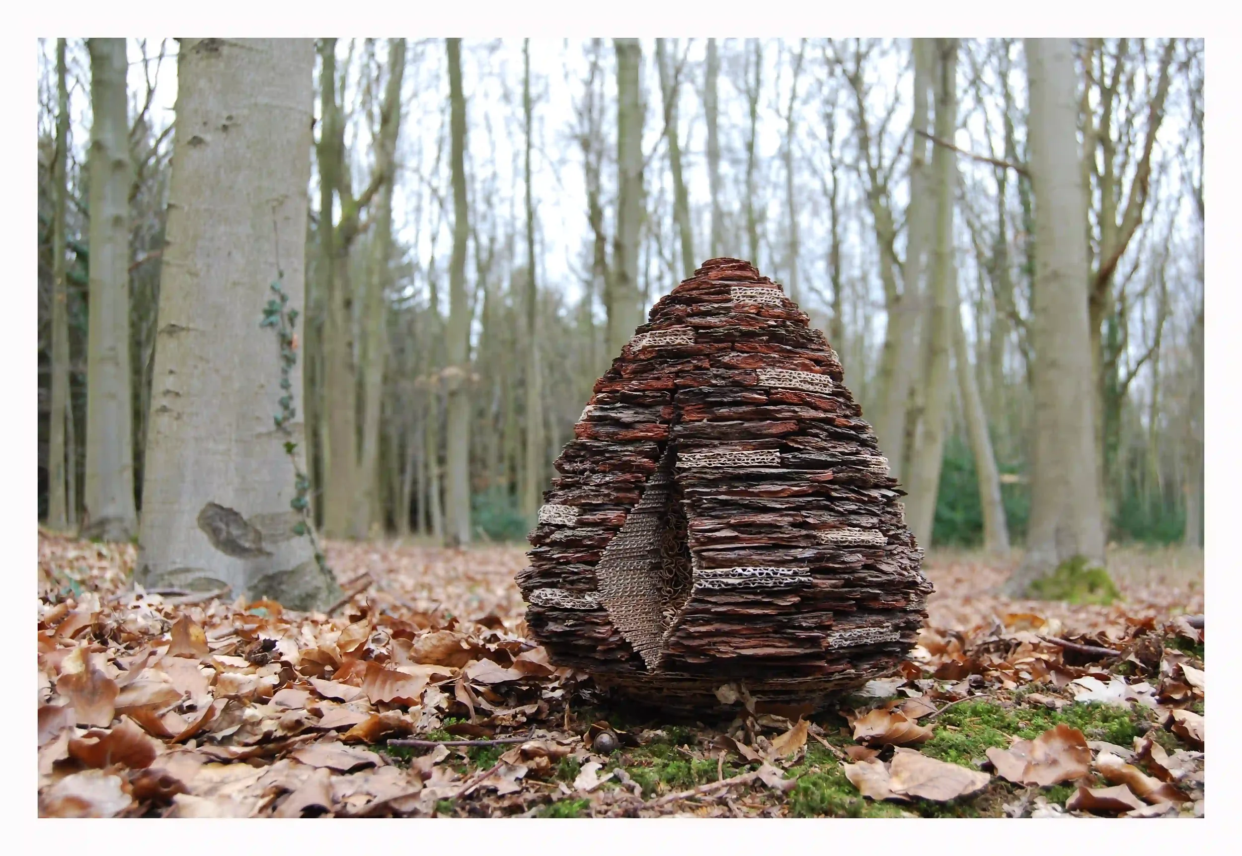 Bark card and paper big cone...
I had previously created work using pine cones; was inspired and captivated by such a simple form. Bringing together materials and ideas from past work to create this sculpture. The form itself also began to appear and