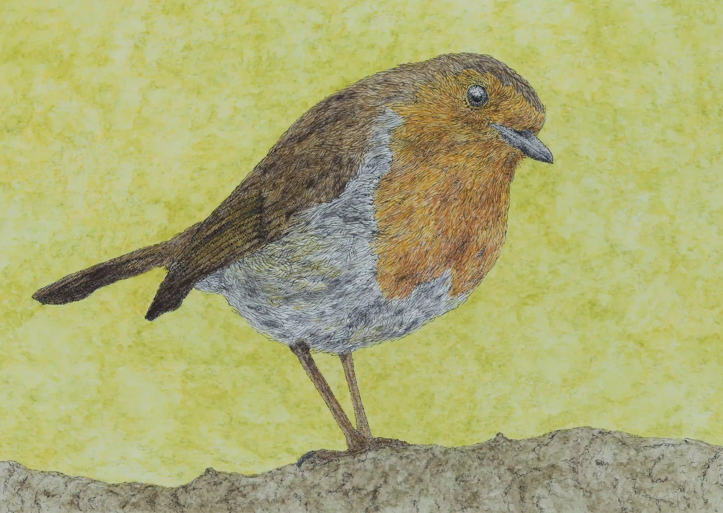 THE INVITING ROBIN: Robins can have such a comforting and magical way of coming up close if you sit quietly and still enough. They can make your own presence feel so welcomed, further inviting you to enjoy being in harmony with nature. Inspired by ow
