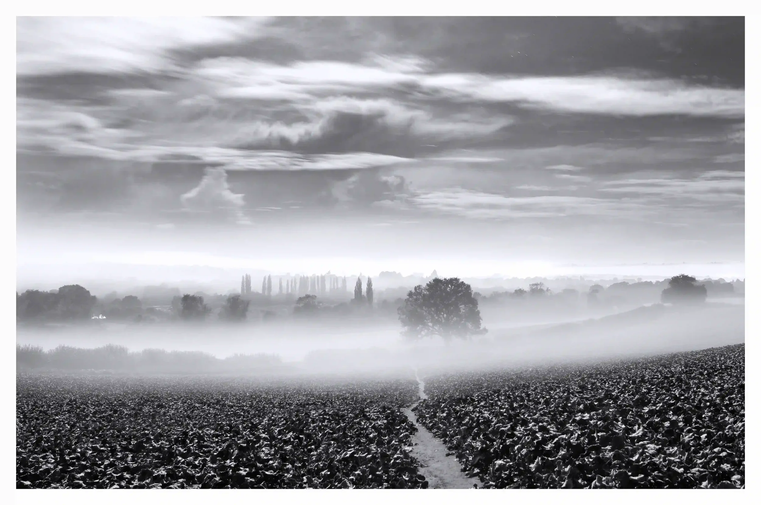 TRANQUIL MOONLIT CHANTRIES FIELD B&W
A night when thick blankets of mist drifted through the lower grounds on this calming night under moon light. There was a very softening atmosphere as I sat in peace just on the edge of the closest mist blanket th