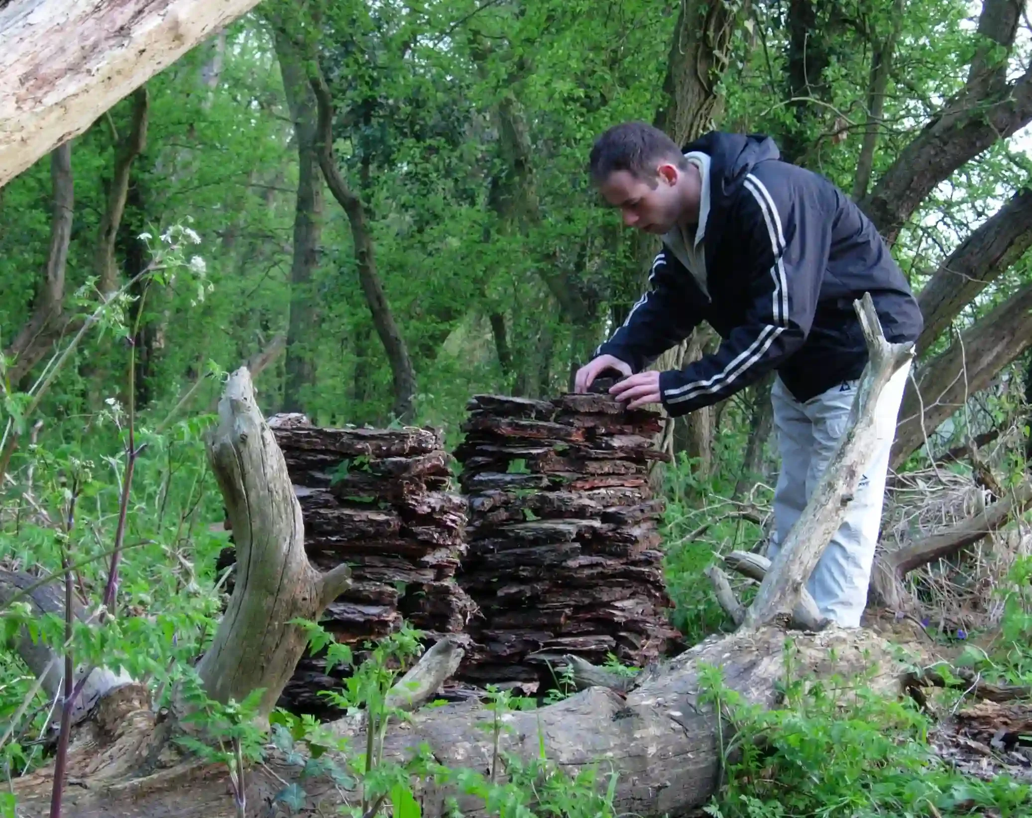 Neil Helps Team 1 — Neil Hayward