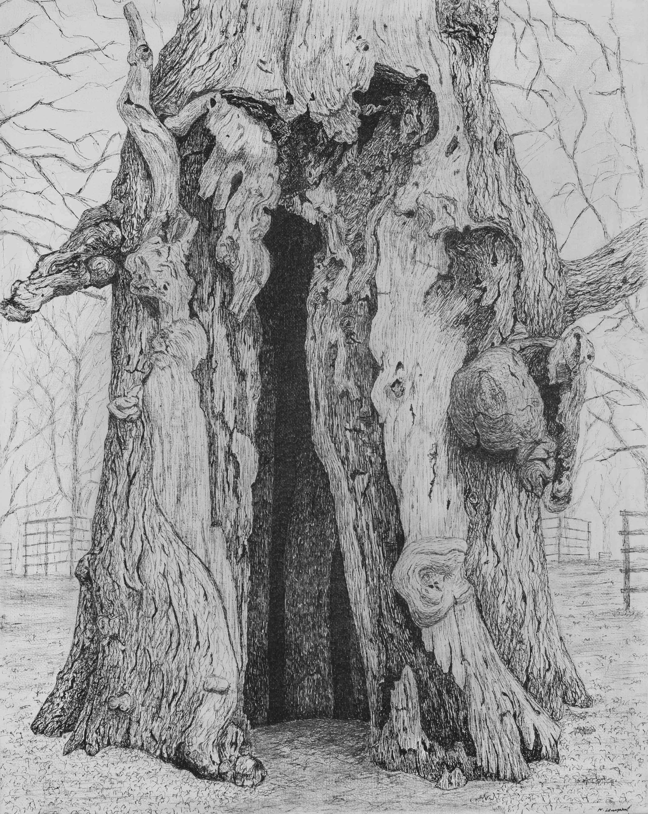 MATURE OAK   
Fine Line pens on Canvas (405mm by 505mm)
Inspired by my own photo from Petworth Park, Petworth, West Sussex
An old oak with such a fascinating character that stands proudly at a park with history. Stop to look closely at such trees; yo