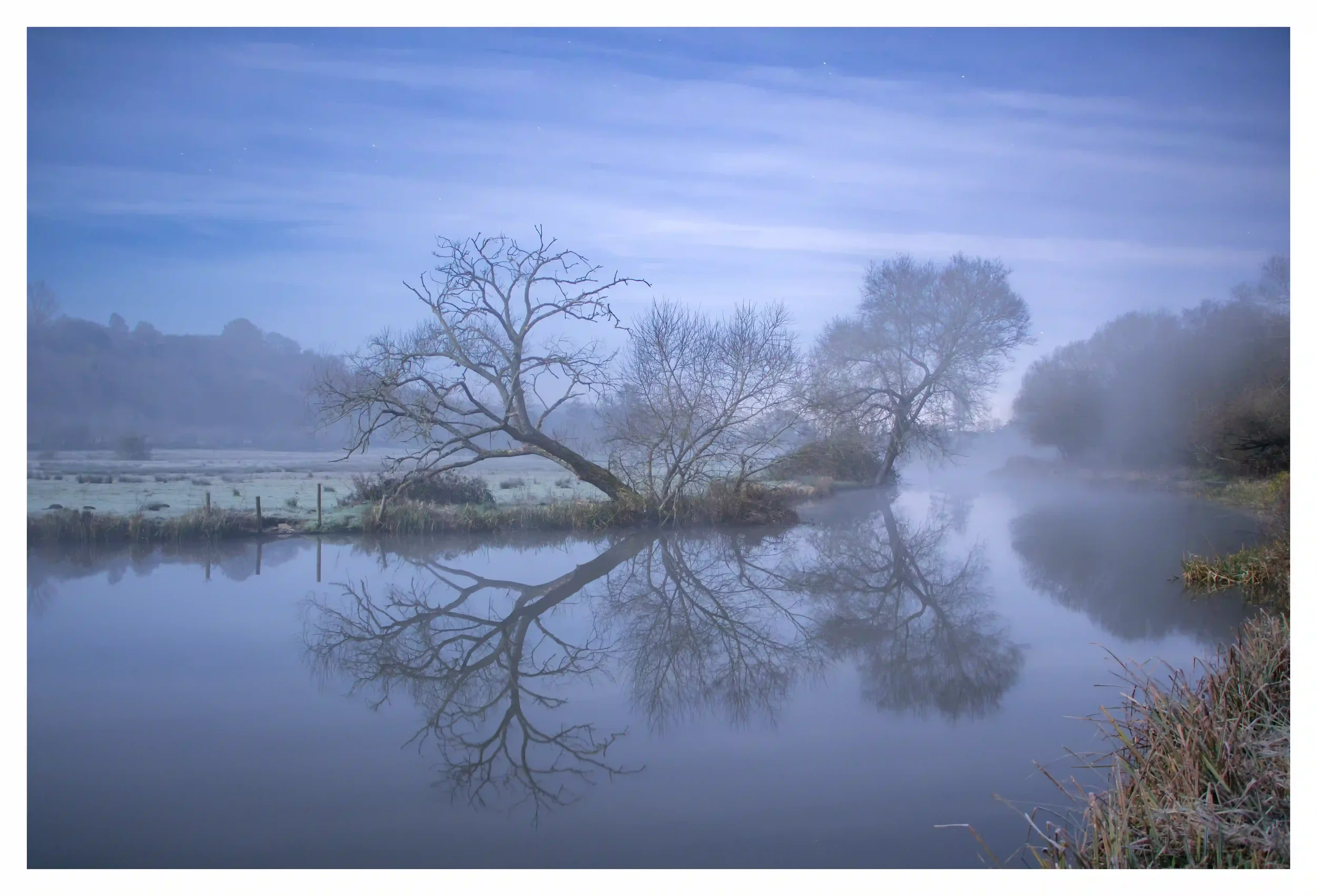 Nocturnal Reflections# copyWEB PAGE FILE.webp