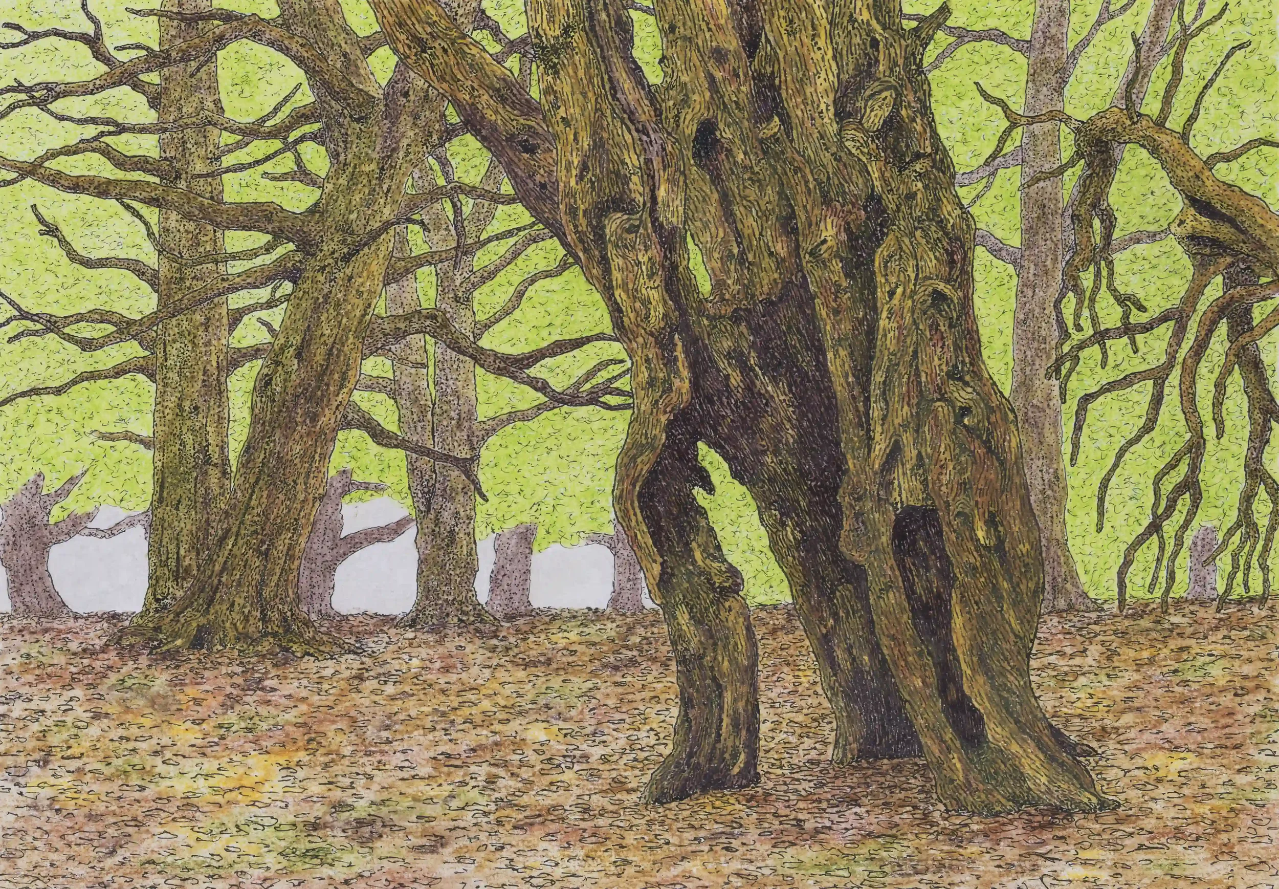 WOODLAND WARMTH...
Fine line pen on A4 watercolour paper.
Inspired by own photo from Newlands Corner, Albury, Guildford, Surrey, UK.
No matter what the weather I have always found trees have a soft way of creating a sense of energy and warmth; not ju