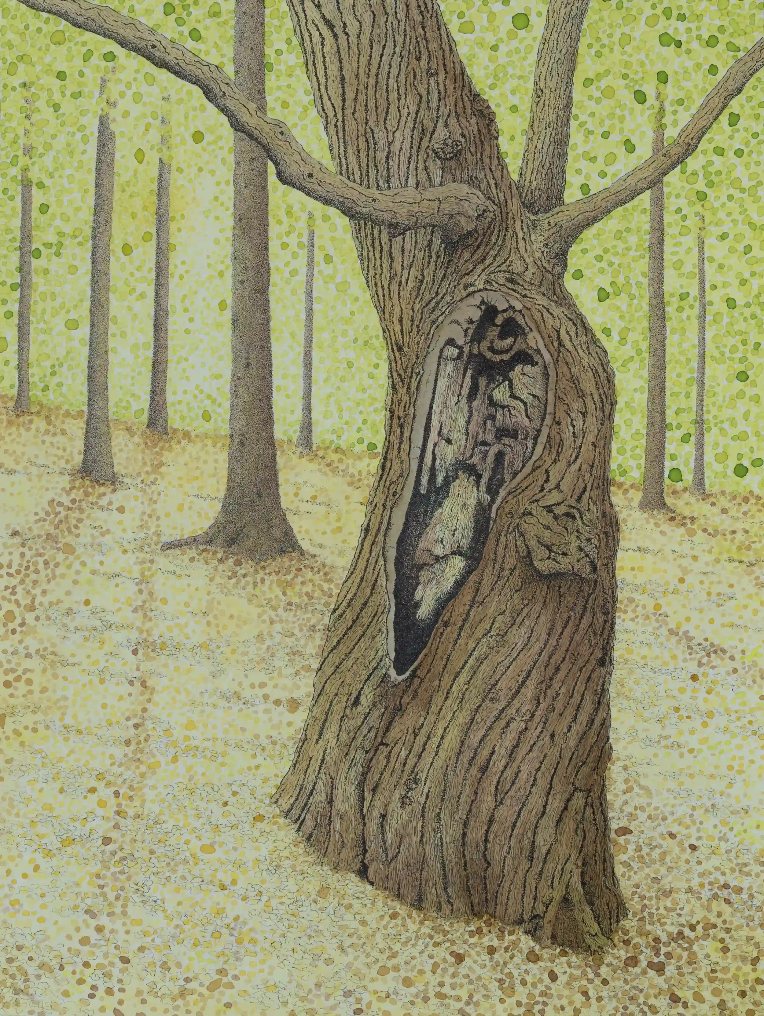SWEET CHESTNUT WELCOME  
Fine line pen and Inks on A3 watercolour paper.
Inspired by own photo from the Chantry Woods, Guildford, Surrey, UK.
Stopping to look and truly take in things I see when out in nature can be so inspiring. This uphill curving 