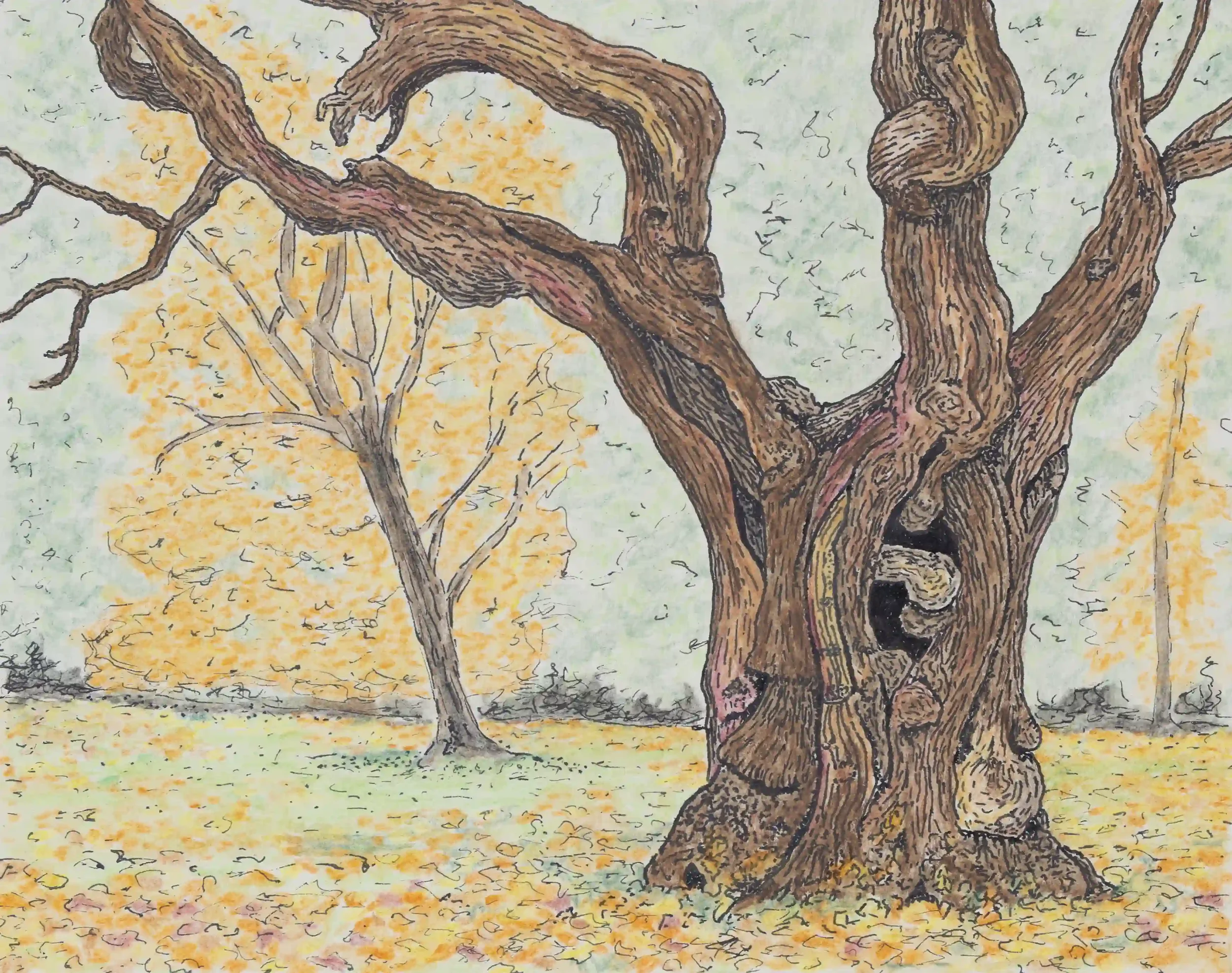 WARMTH OF AUTUMN...
Fine Line pen and watercolour pencils, Original on A4 watercolour paper
Autumn being a wonderful time of year when nature can put on such a display of energy and colour. Even if days have started becoming shorter, temperatures coo