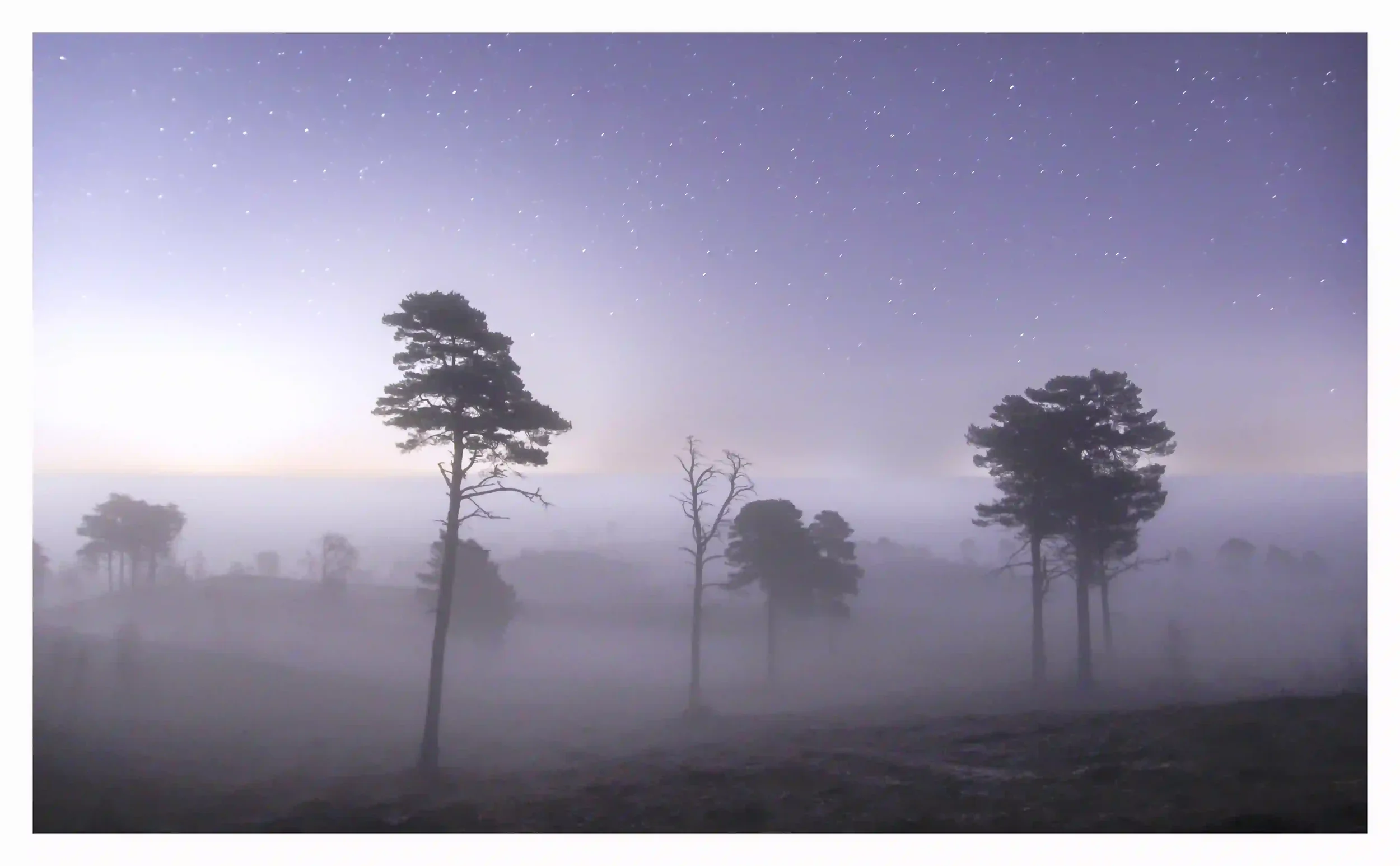 LOST SOFTLY
When I had set out on my night walk; it was a clear night. Conditions soon changed as I could see dense mist approaching. It became so dense that I could only see a few metres Infront of me, yet despite this; it really felt quite soothing