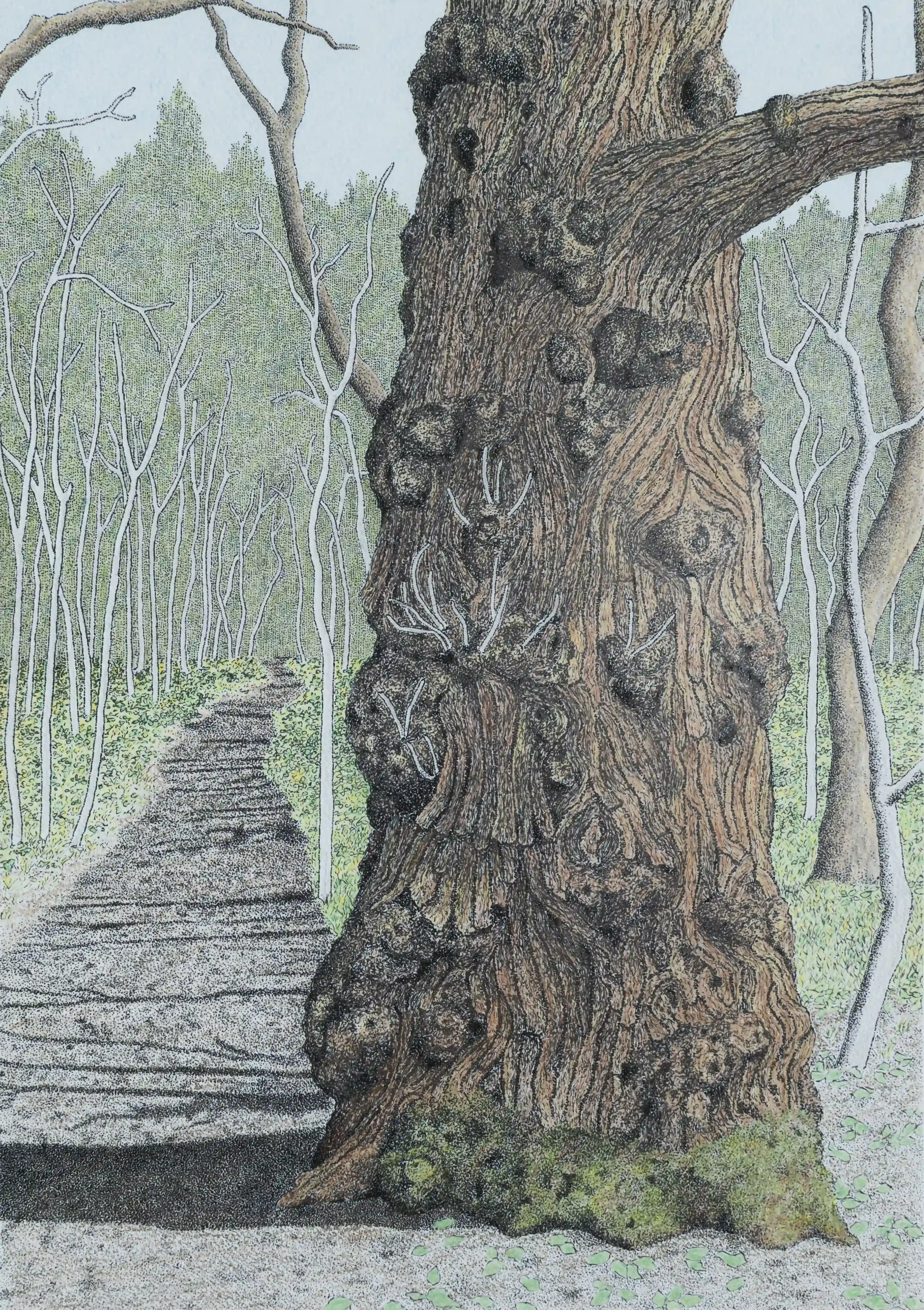 Uplifting Sweet Chestnut Tree copyWEB PAGE FILE.webp