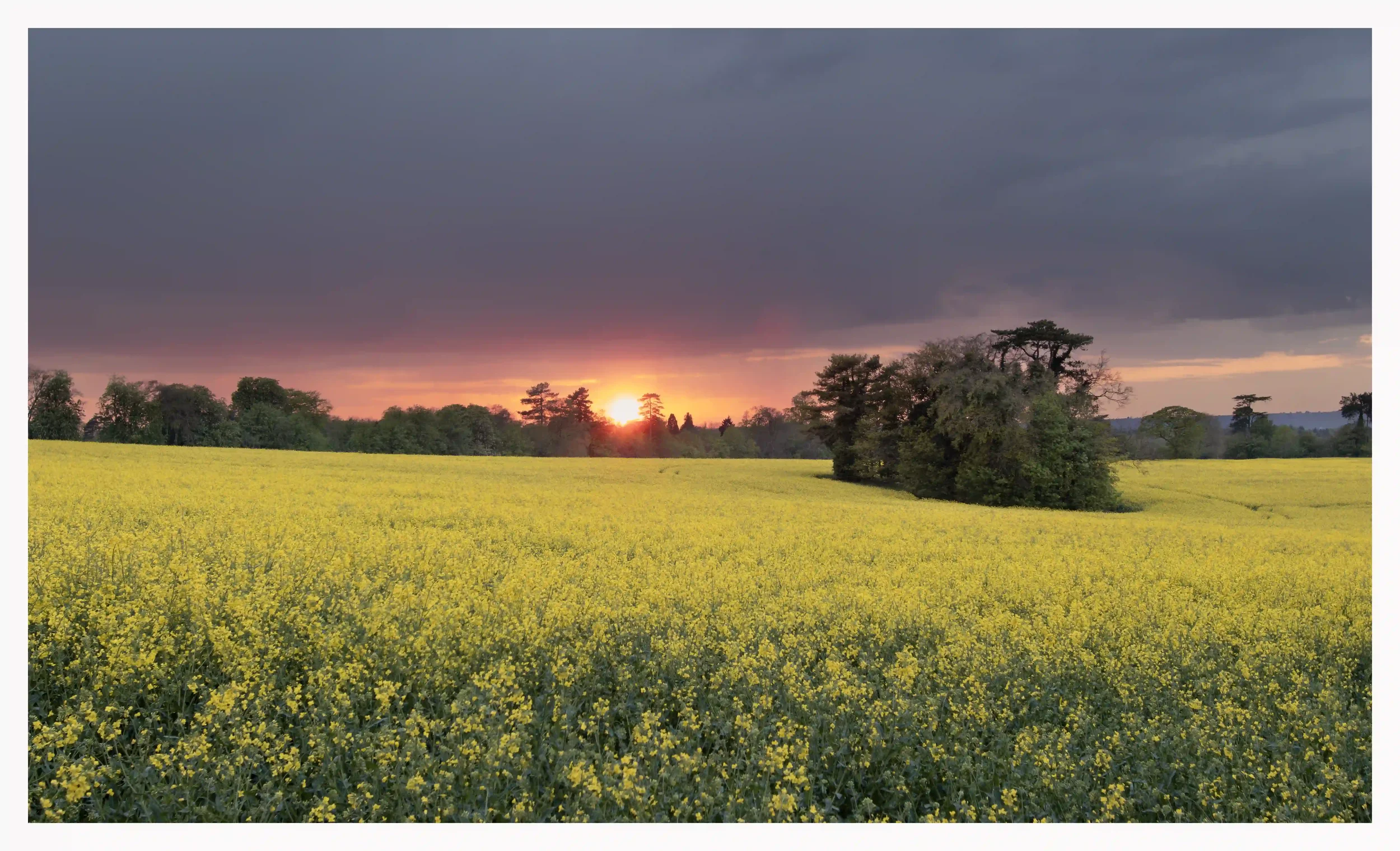 BALMINESS
Patiently I had waited in the hope that sunset would appear despite the large bands of dark grey rain clouds that had been over most of the afternoon. And to my luck the warming low sun had been temporarily able to show itself over these so