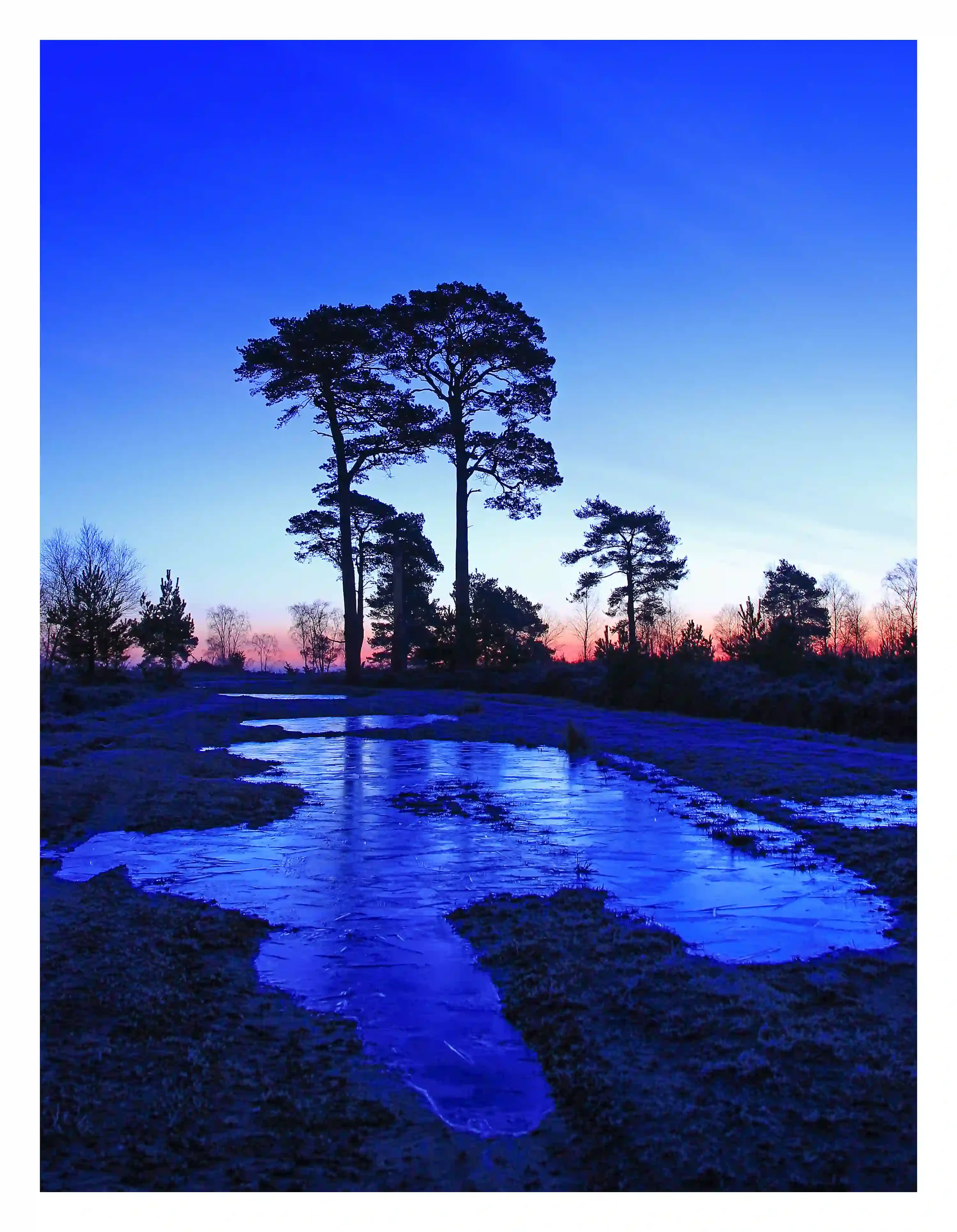 FROZEN AT DAWN
A true refreshing and self-cleansing feeling on the start of this fresh winters’ morning prior to sunrise. 
Ash Ranges, Ash, Surrey, UK
