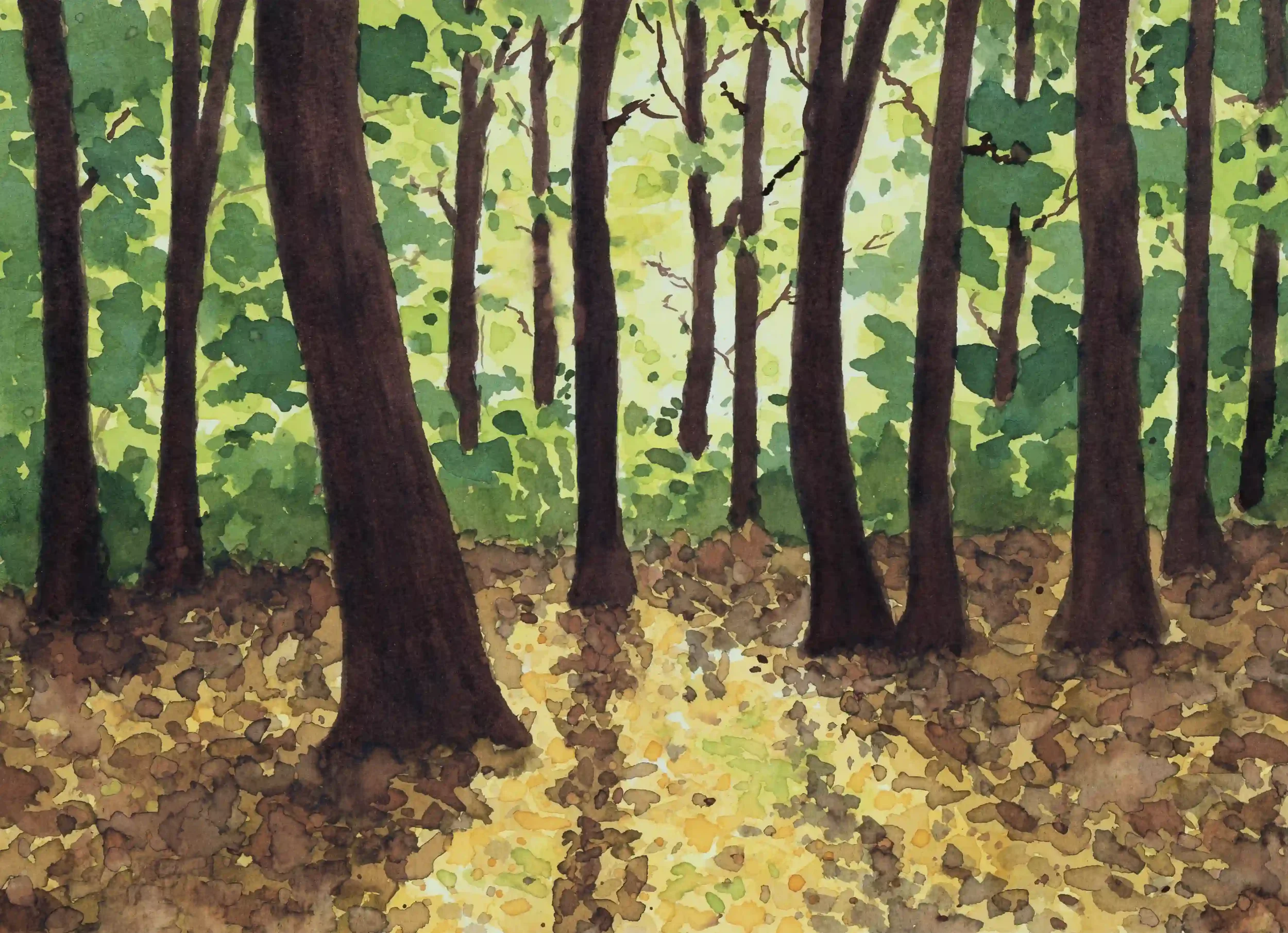 PIERCING SUNLIGHT...
Inks on A4 watercolour paper
Inspired by own photo from Chantry Woods, Guildford, Surrey, UK.
A moment when the sun pierced through the tree canopy creating what appeared to be a golden path amongst the shadows, did not last for 