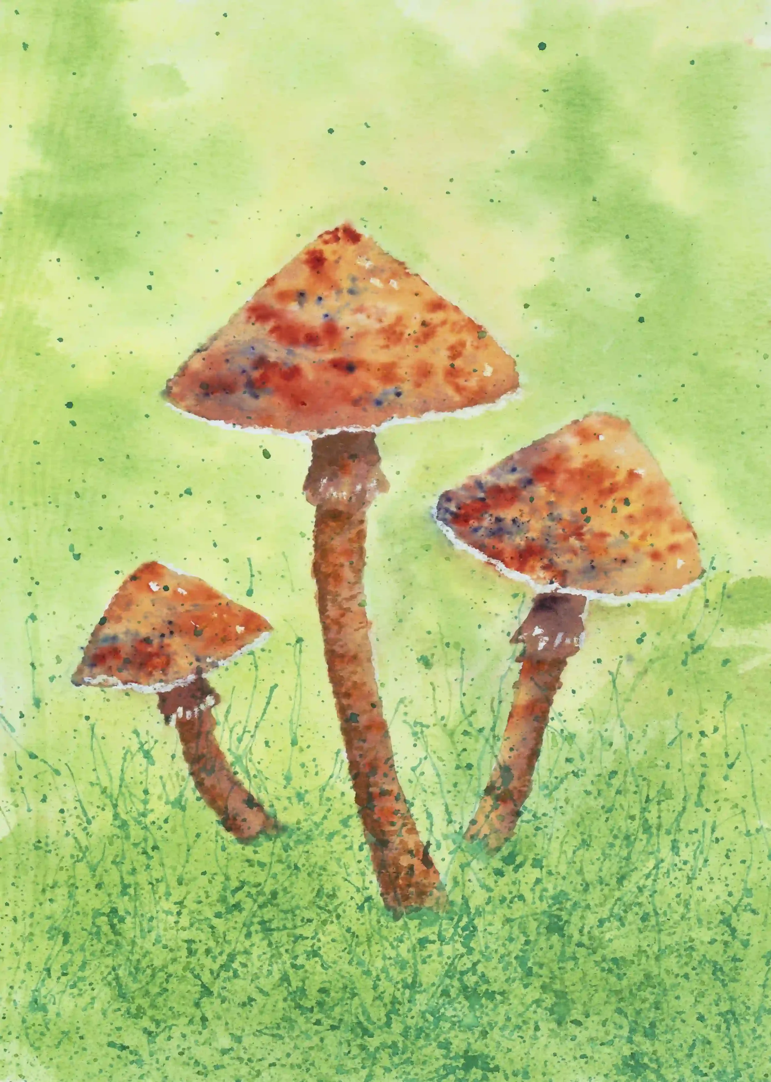 FUNGI#2
Inks, Original on A4 watercolour paper
They can possess such a warming power and presence within the landscape. They stand quietly and proudly as they continue to play such an important role in nature.