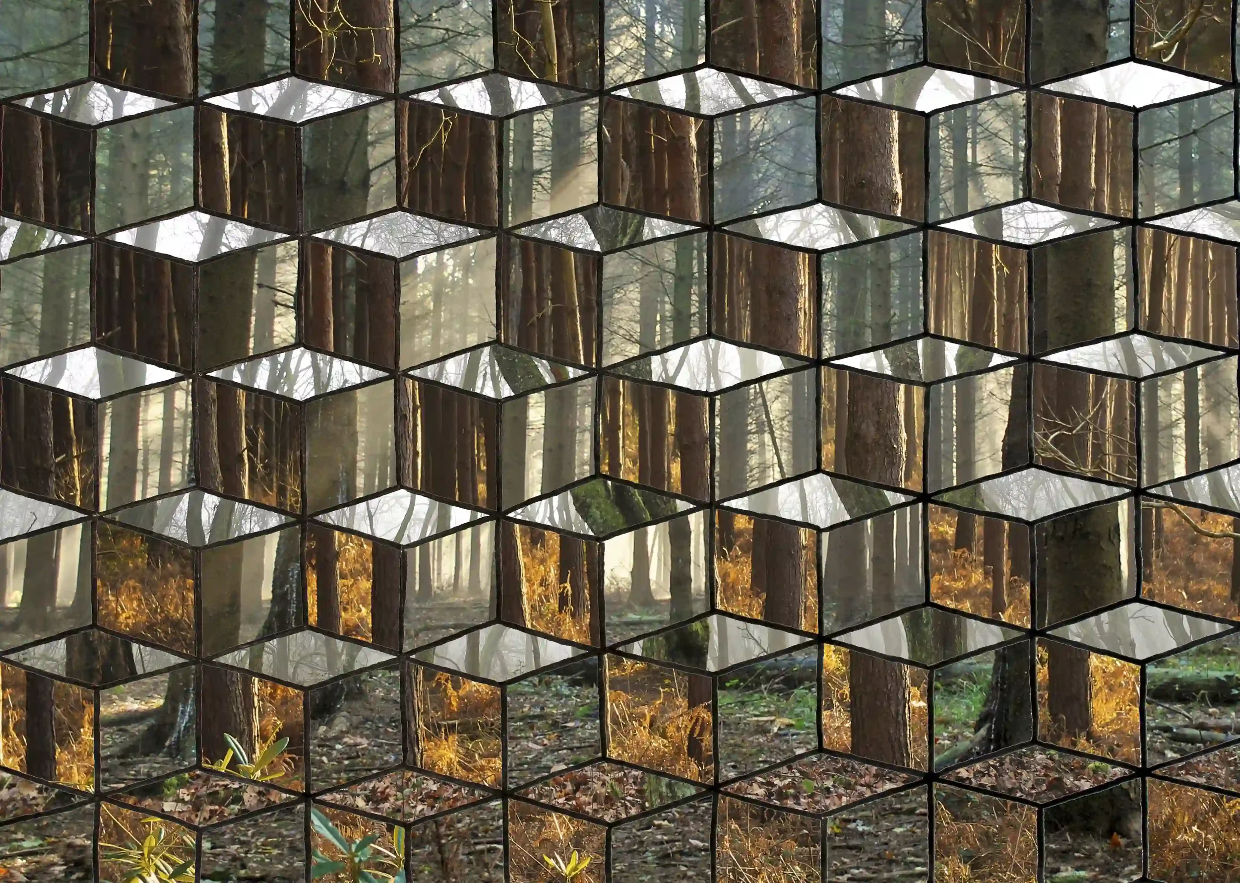 The Building Blocks of Nature...
Art meets photography, simple drawn 3d cubes by hand used to merge 3 of my woodland photos; time in nature has always been my source to finding appreciation in life. Nature will always be the key building blocks to li