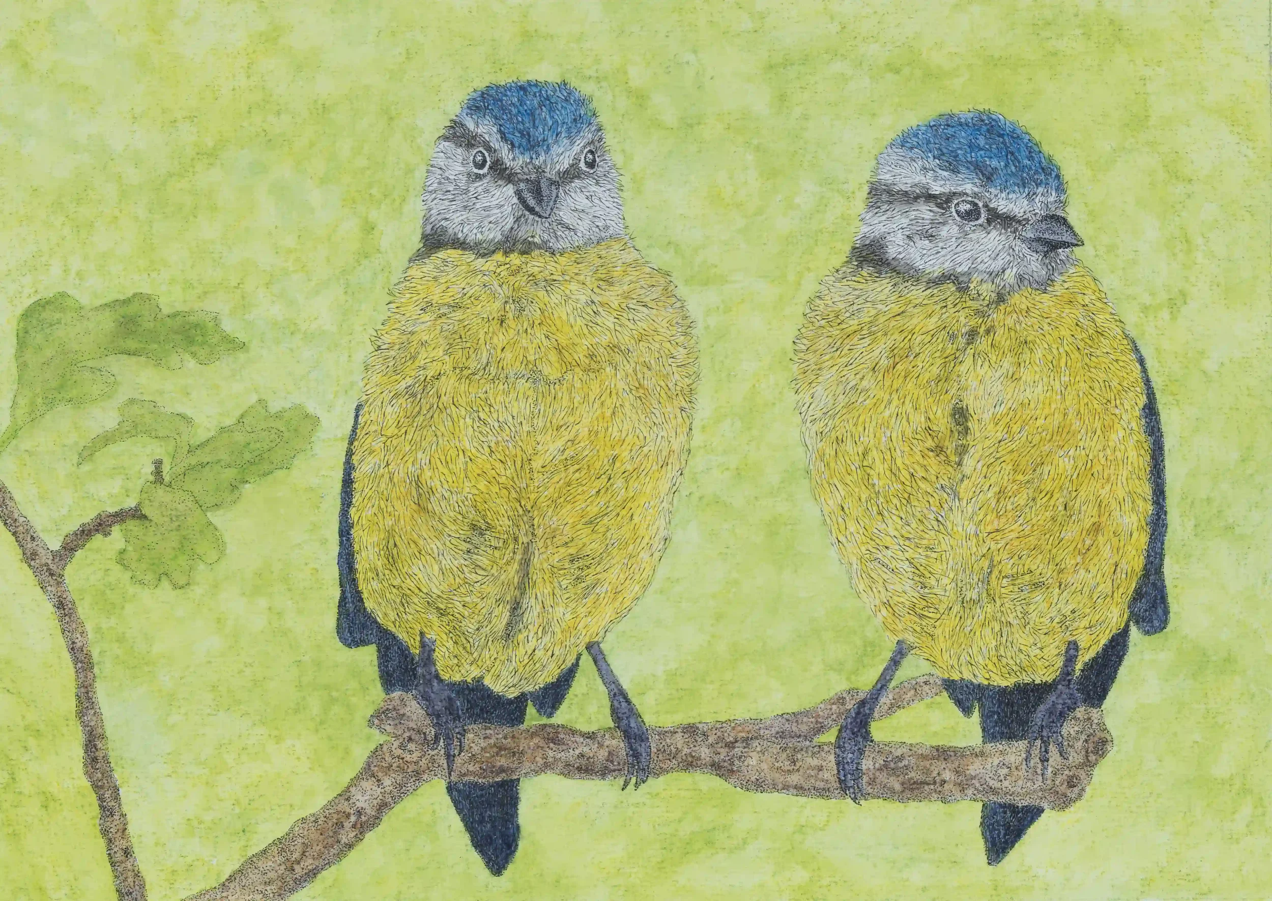 PERCHED TOGETHER: Birds can be so loyal to one another when they are working as a mother and father for their chicks. The warming and joyful colours of these birds can feel so uplifting and positive to see too. Inspired through my own photos. Fine Li