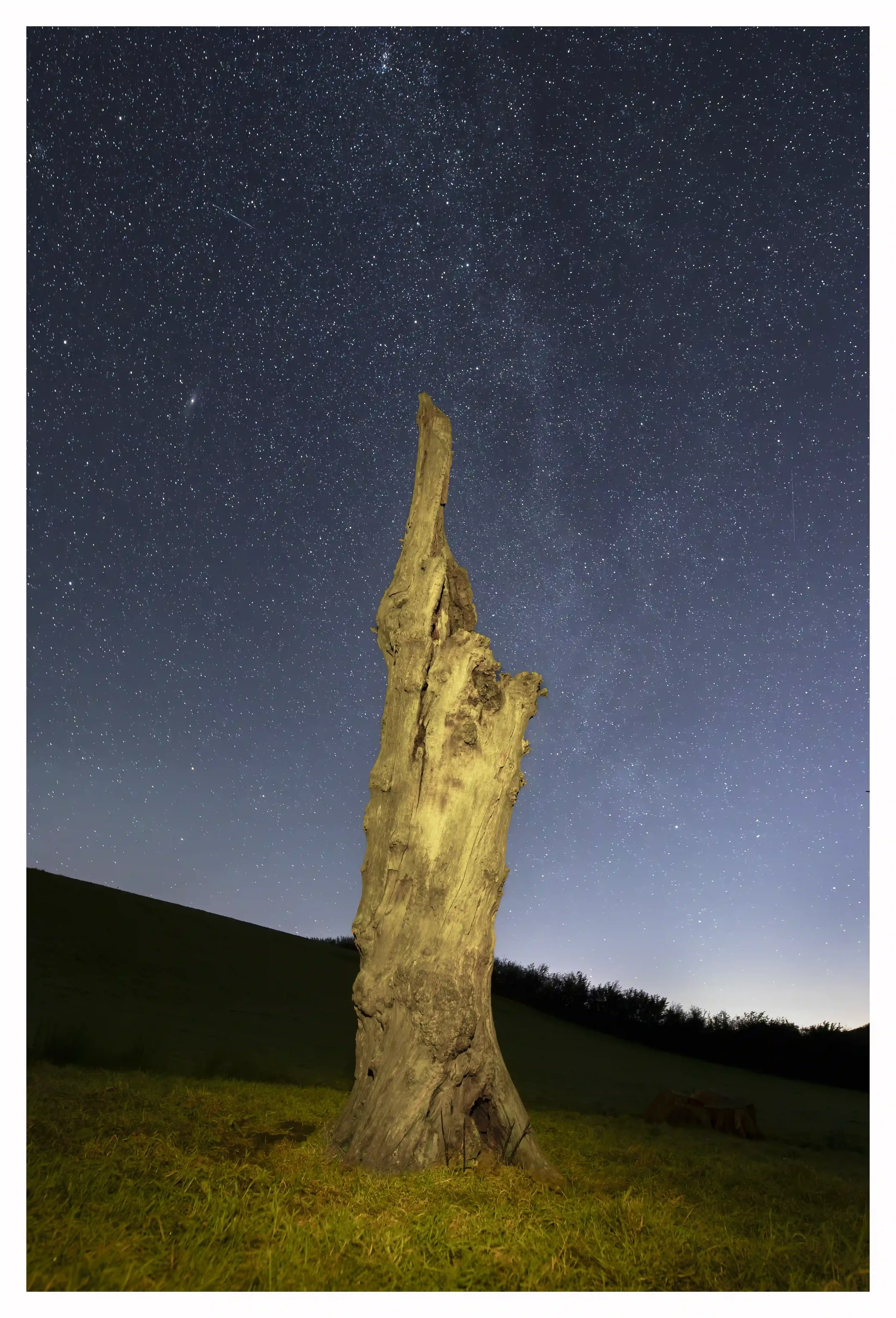 STILL STANDING PROUDLY
Despite being in the process of slowly breaking down through natural cycles and elements; this old aged decaying tree stump appeared to still proudly be reaching for the magic of the clear star lit night. 
Shanklin, Isle of Wig
