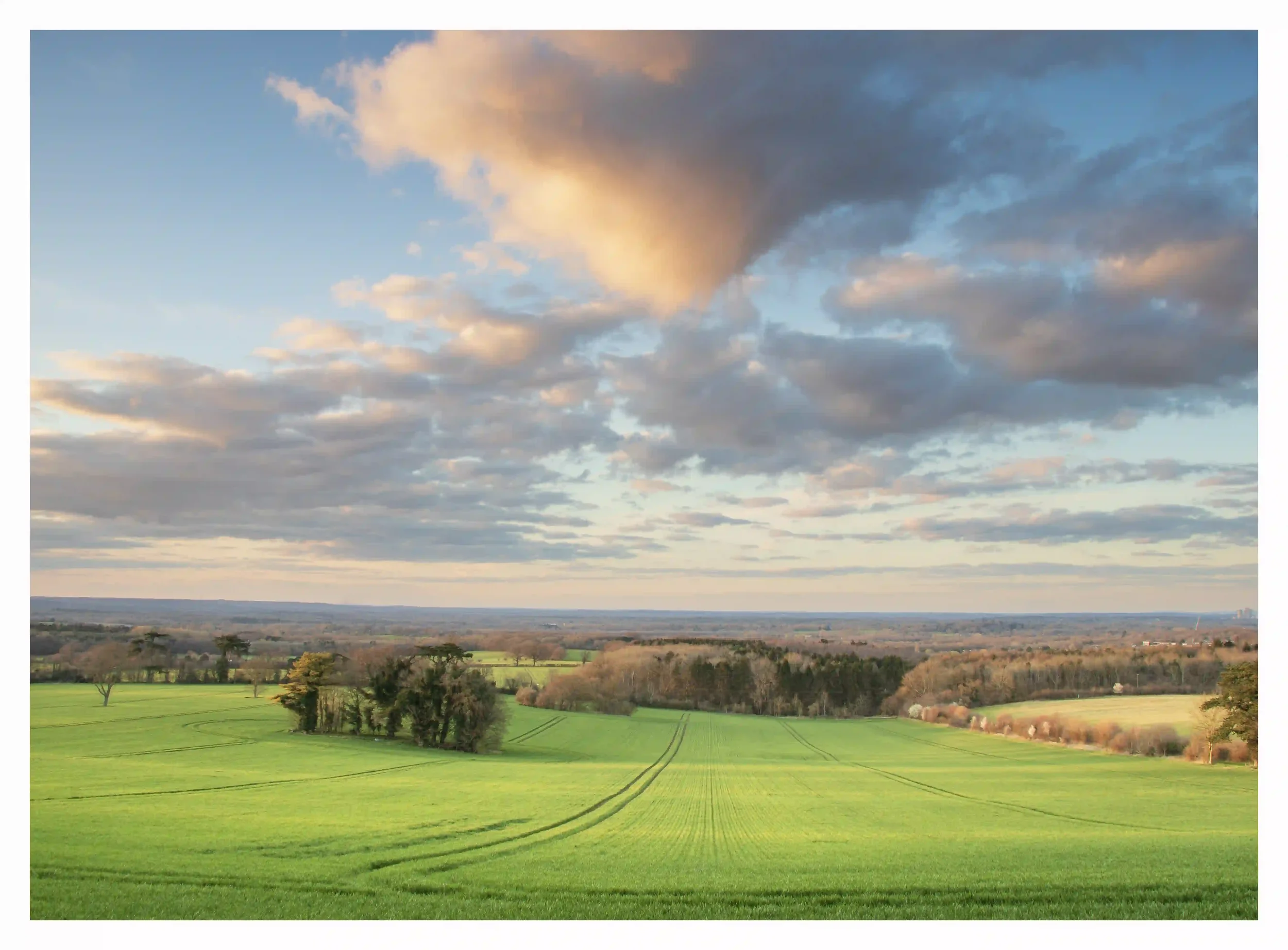 A COMFORTING INVITATION
As I stood at the top of the hill and looked across the lush green farmers field as it approached sunset; my eyes were drawn in, comfortably invited into the scene. As I peacefully watched the final light; the cloud became sof