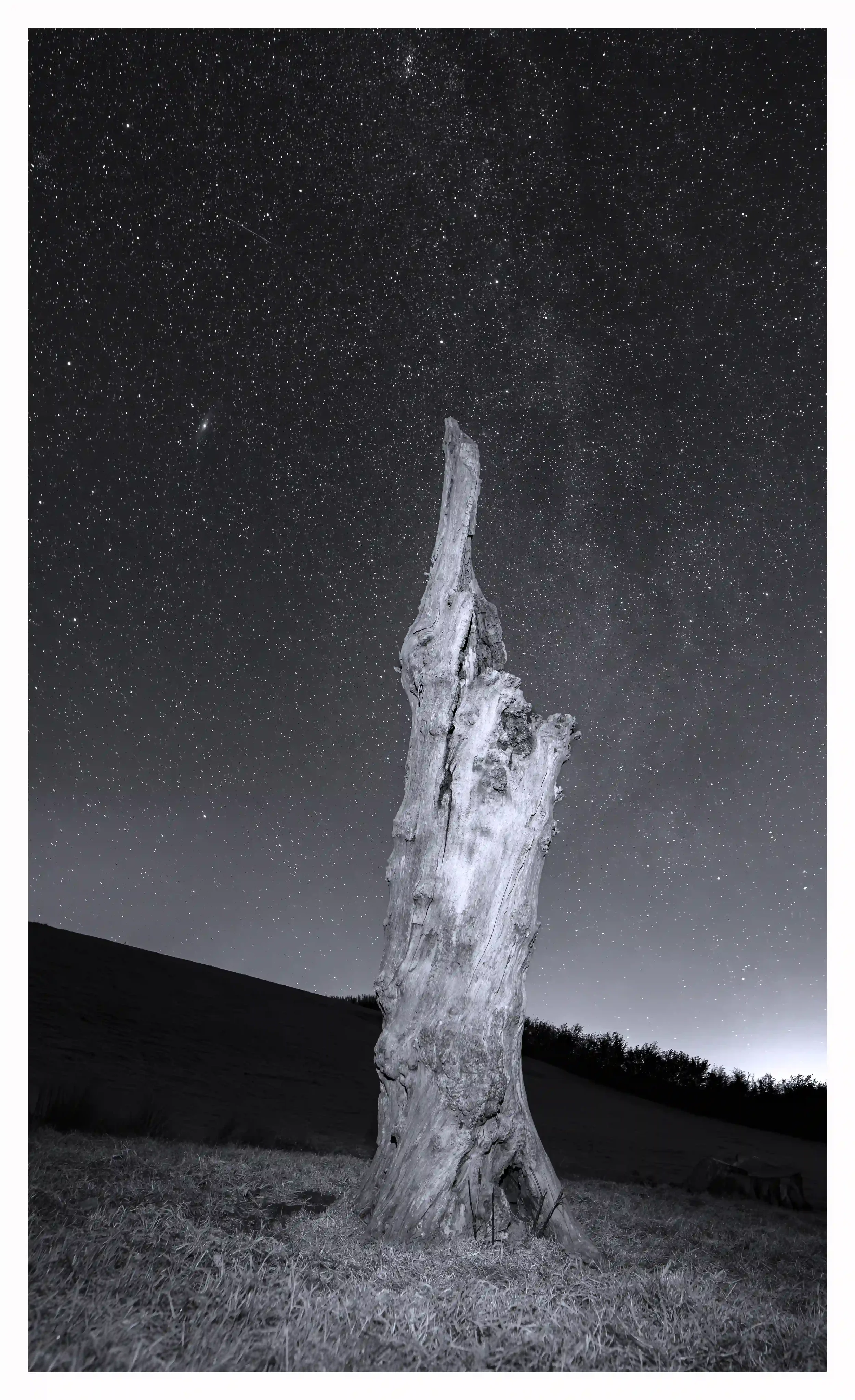 STILL STANDING PROUDLY BW
Despite being in the process of slowly breaking down through natural cycles and elements; this old aged decaying tree stump appeared to still proudly be reaching for the magic of the clear star lit night. Processed in black 