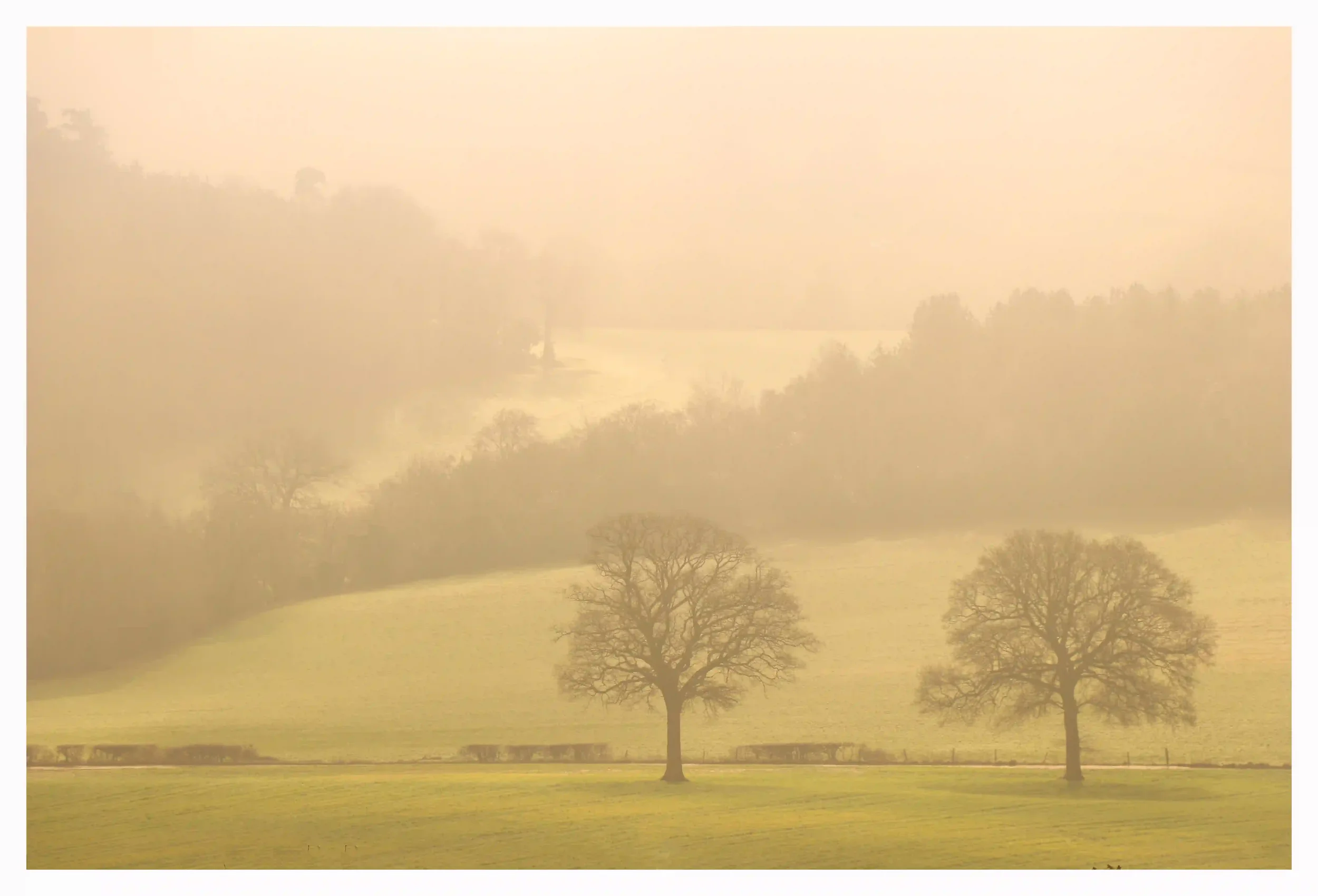 WARMING SOFTLY
Newlands Corner, Guildford, Surrey, UK. 
A fresh therapeutic winters morning view from Newlands Corner. Fog had covered the Surrey Hills over night yet on this calm morning; the rising sun was burning through and softly illuminating th