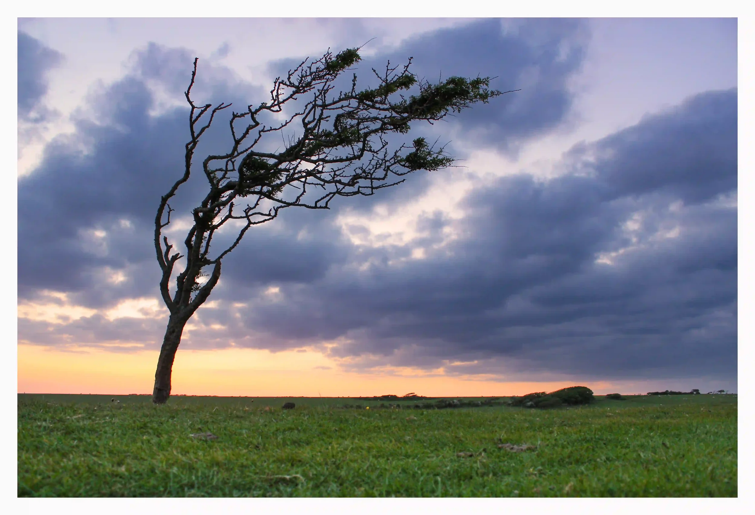 DANCING WITH NATURE
A tree that has grown influenced by natures forces, and when I saw it like this it appeared as it was in rhythm with the drifting clouds
Eastbourne, East Sussex, UK
