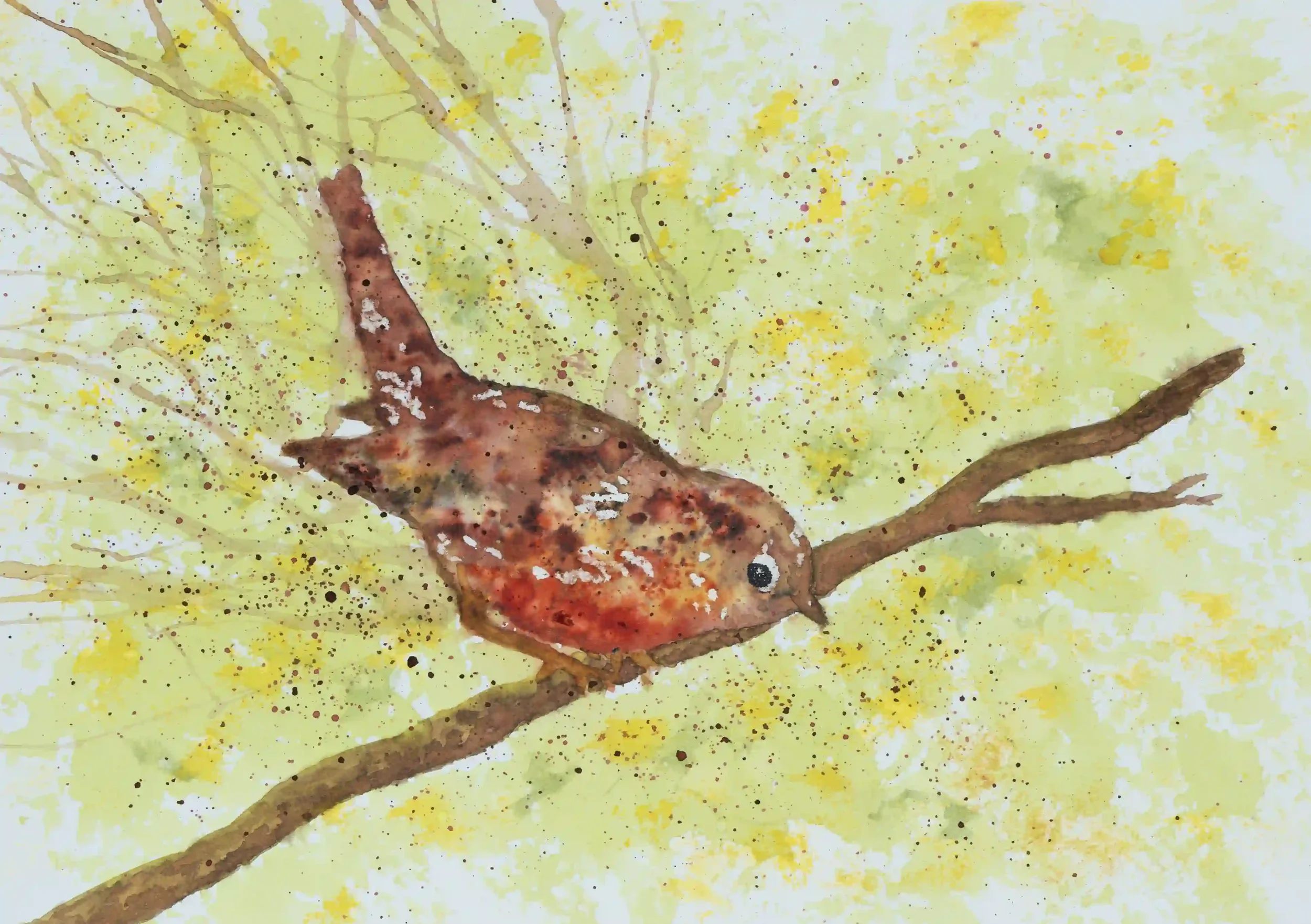 LOOKING DOWN; I often find myself describing birds as delicately energetic; and its true. This work I wanted to explore ways of using such unpredictable and energetic ways when using Inks to help express the character of this small robin I had been w