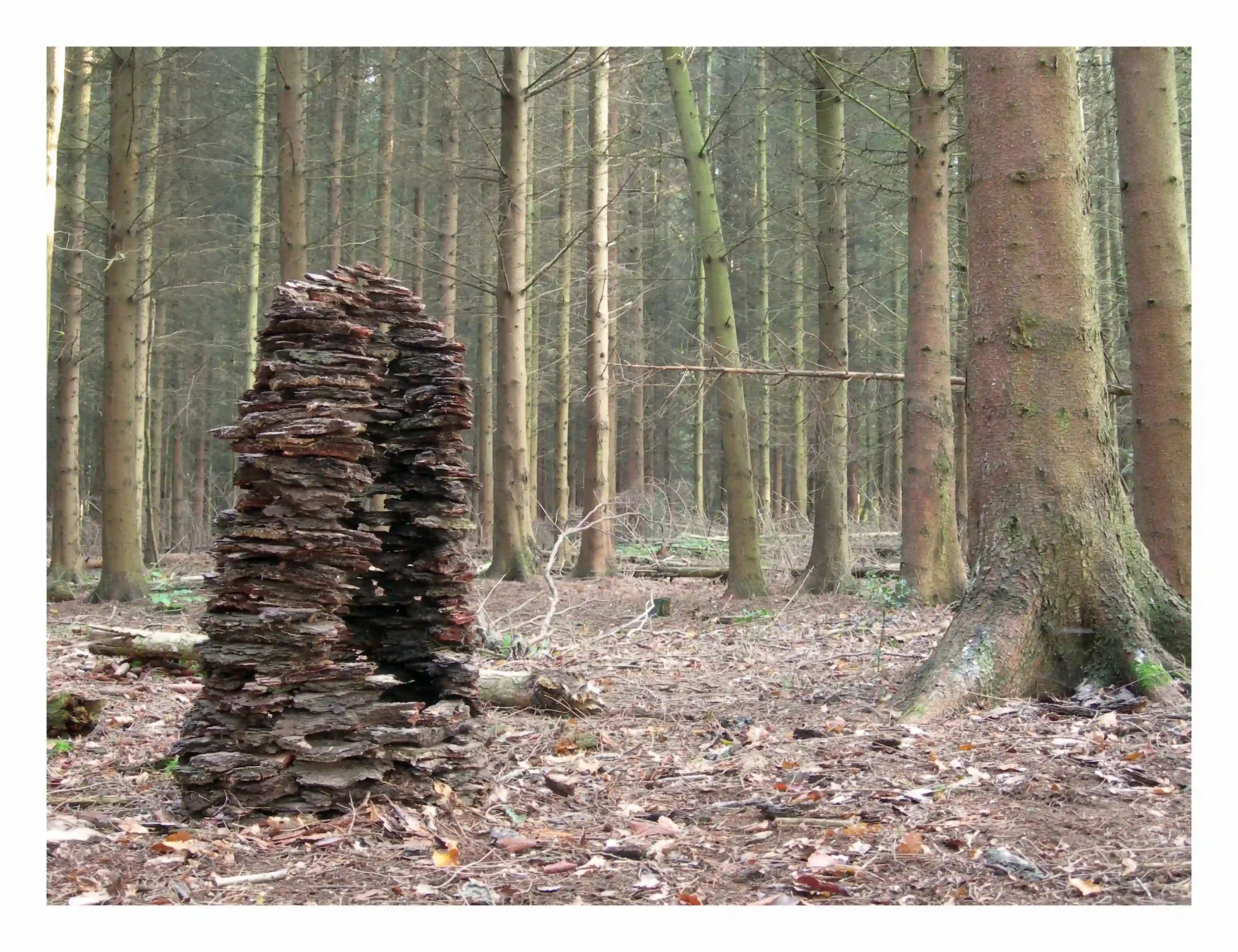 Bark Tree##2...
Found pieces of bark from fallen and decaying trees; temporarily constructed in the woods the materials were found. Respecting the bark and the use of balance to create a sculpture that would be inspired, grow, form and be left where 