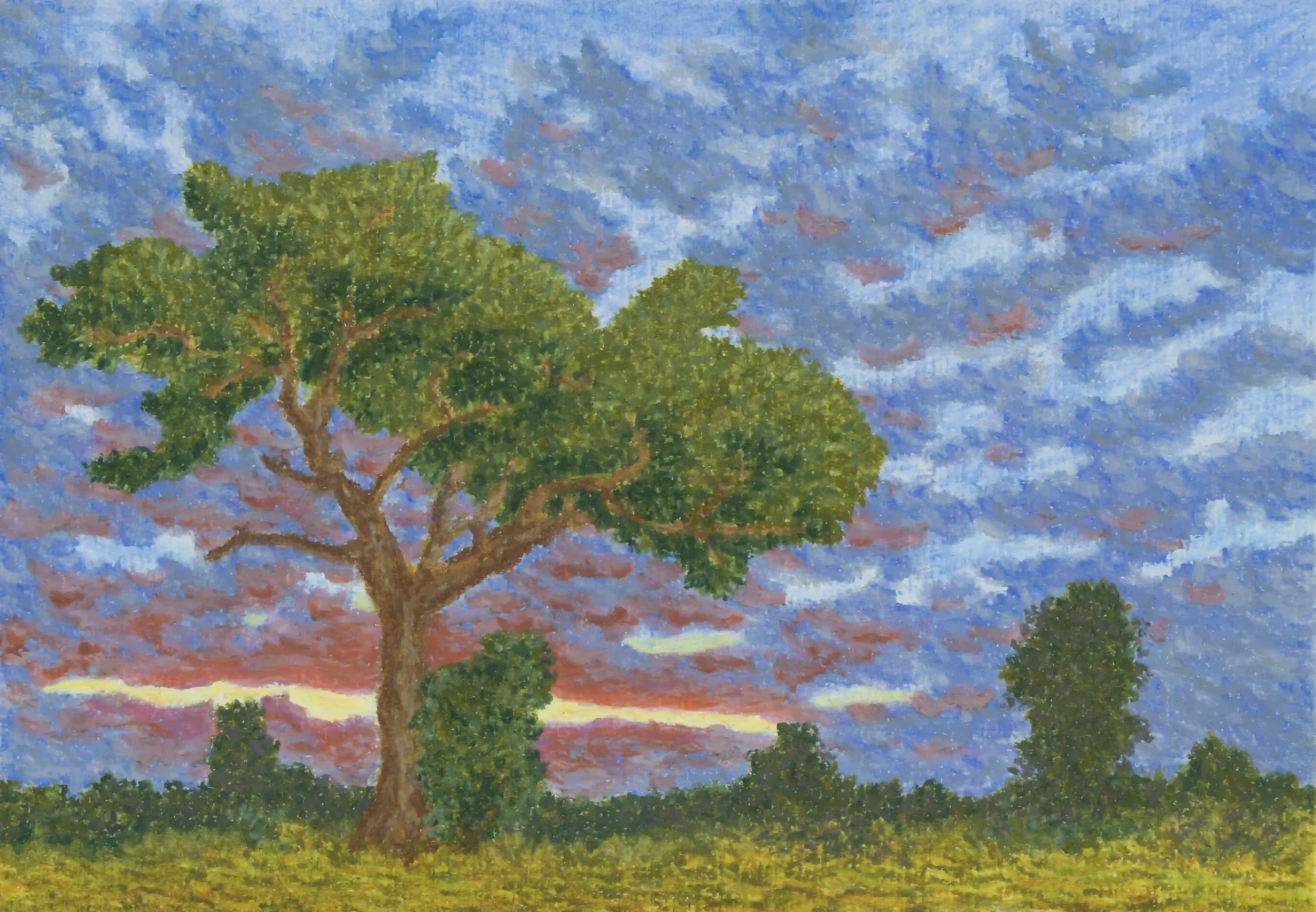 ILLUMINATED AT DAWN...
Oil Pastels, Original on A4 pastel paper
Location; Ash Ranges, Surrey, UK.
A dawn when patches of cloud were warmly illuminated, bringing with it such a wonderful feeling to be out at sunrise. This tree was starting to softly l