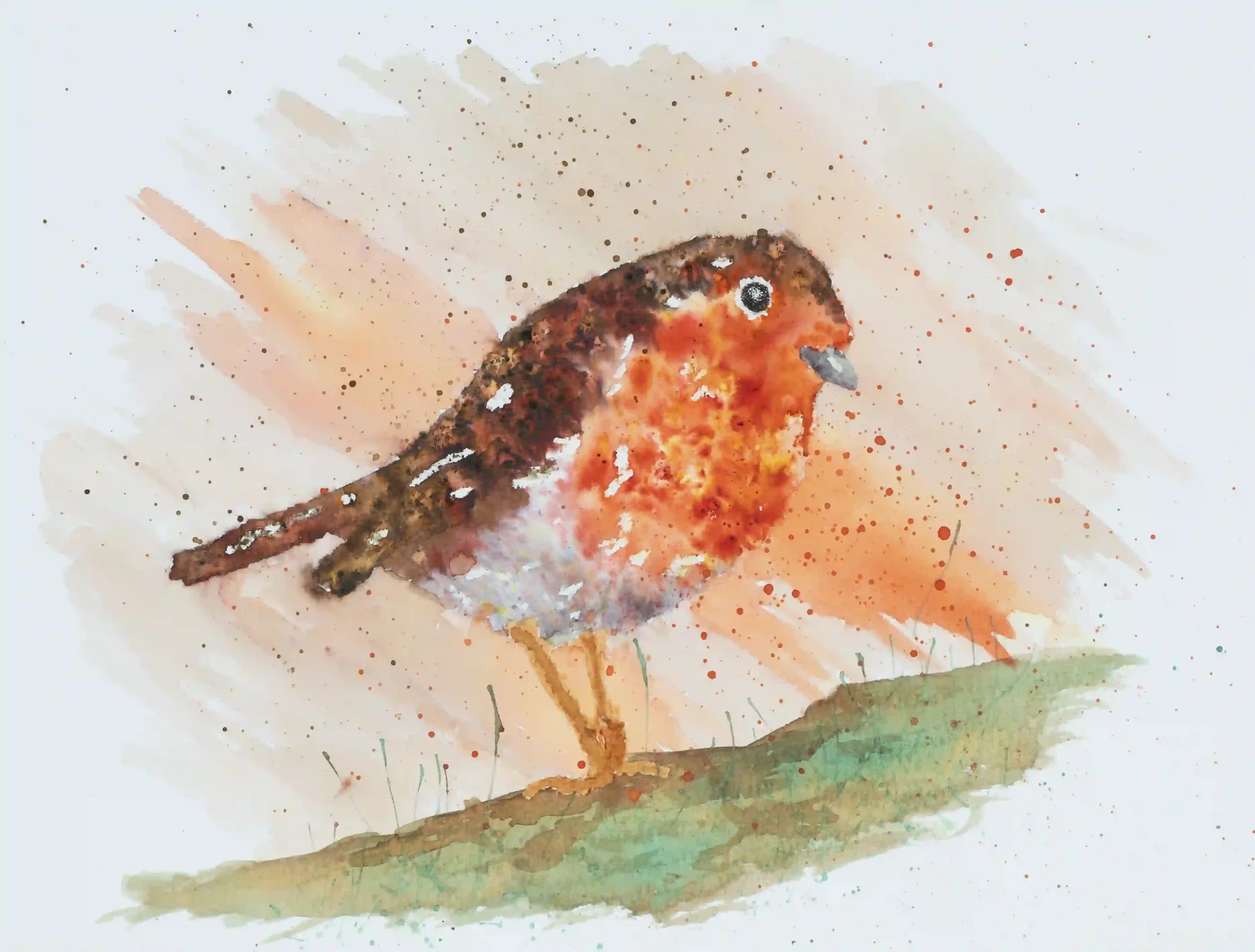 WARMTH OF A ROBIN; A robin’s appearance and behaviour can have such a comforting and inviting character about them when interacting with people.  Inspired by my own photo. Inks on A4 watercolour Paper. 