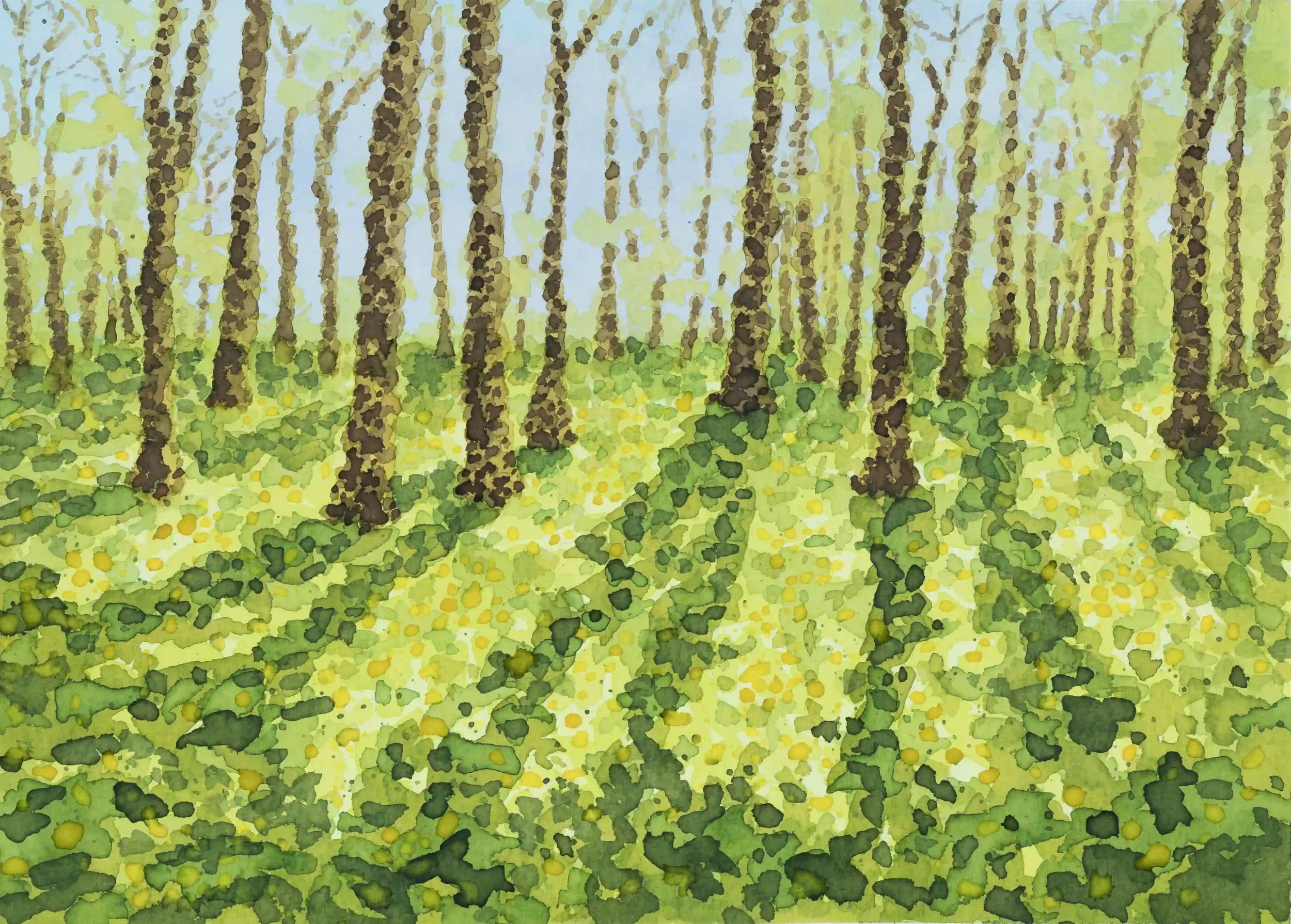 LUSH WOODLAND GREENS...
Inks on A4 watercolour paper
Inspired by my own photo taken at Chantry woods, Guildford, Surrey.
The warming vibrant colours on this spring day as the sun penetrated the woodland. Nature has such a captivating way demonstratin