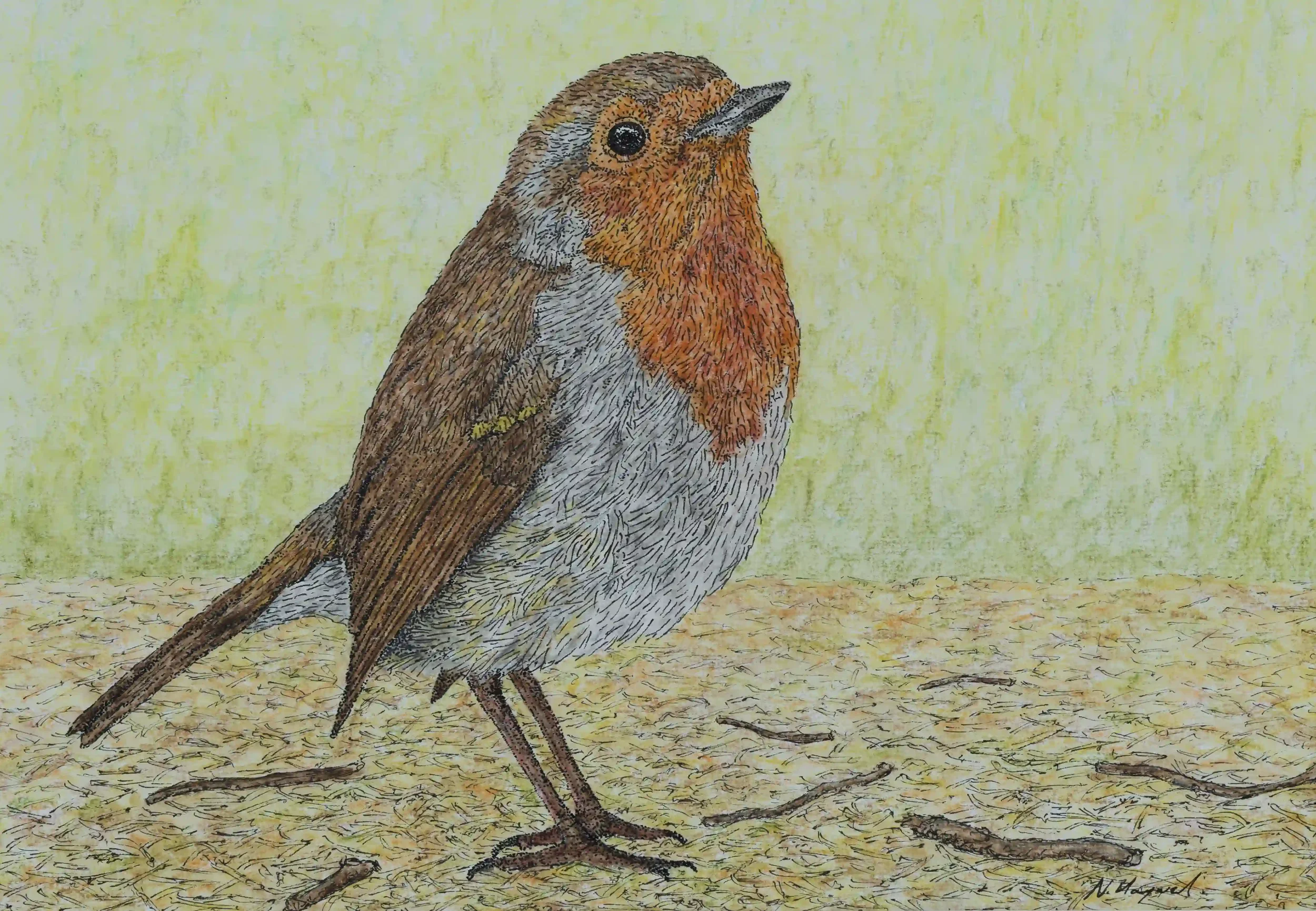 GRACEFUL ROBIN;I have always felt such a connection with robins since a child. Their softening and polite presence along with such an inviting feeling of non-judgemental company.  Inspired through my own photo.
Fine Line pen and watercolour pencils, 