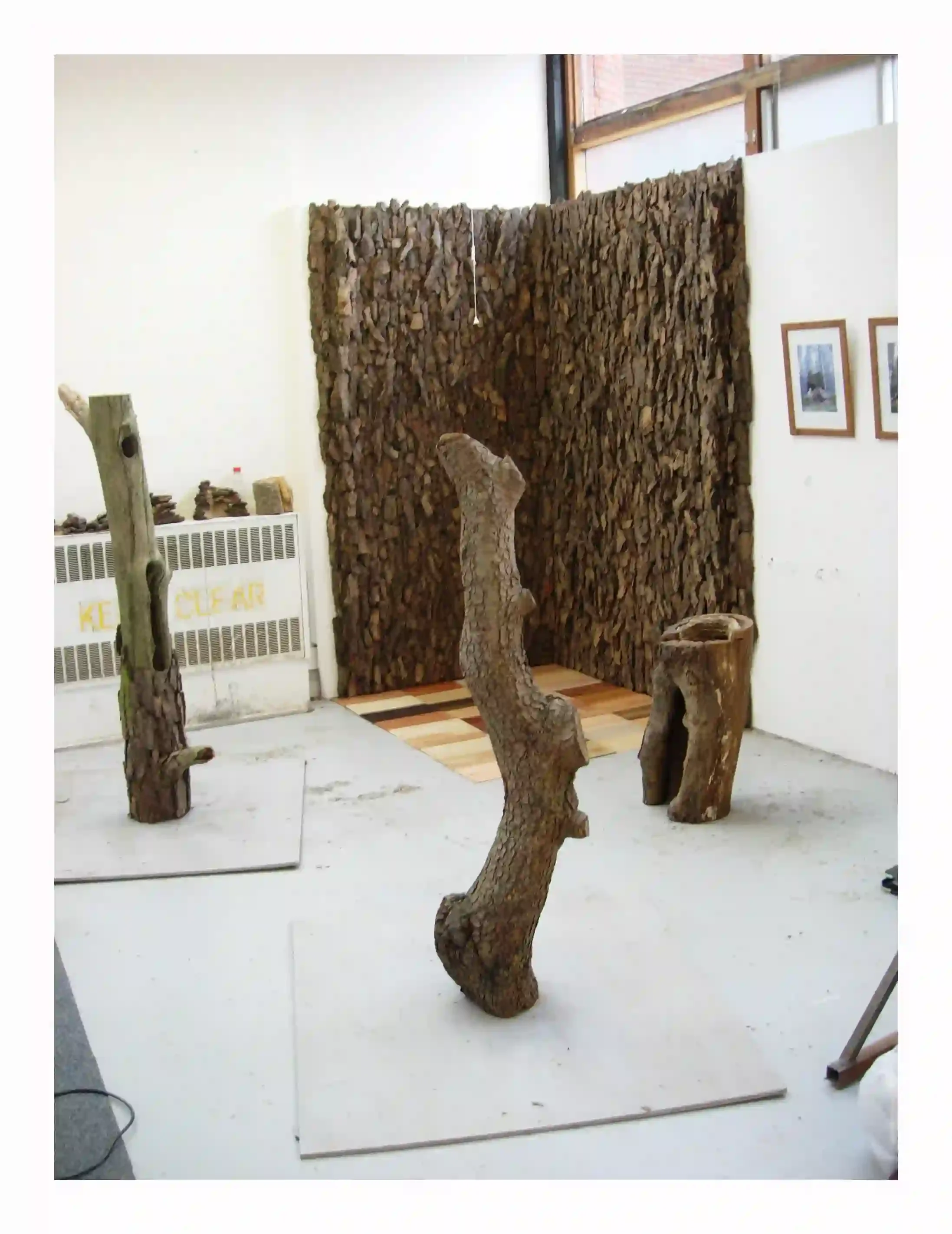 2nd year studio installations....
My bark wall had grown and respected the space it was reconstructed in. 3 log sculptures appeared normal on the outside; yet withing each there was an interaction of card and paper that respected the log and could on