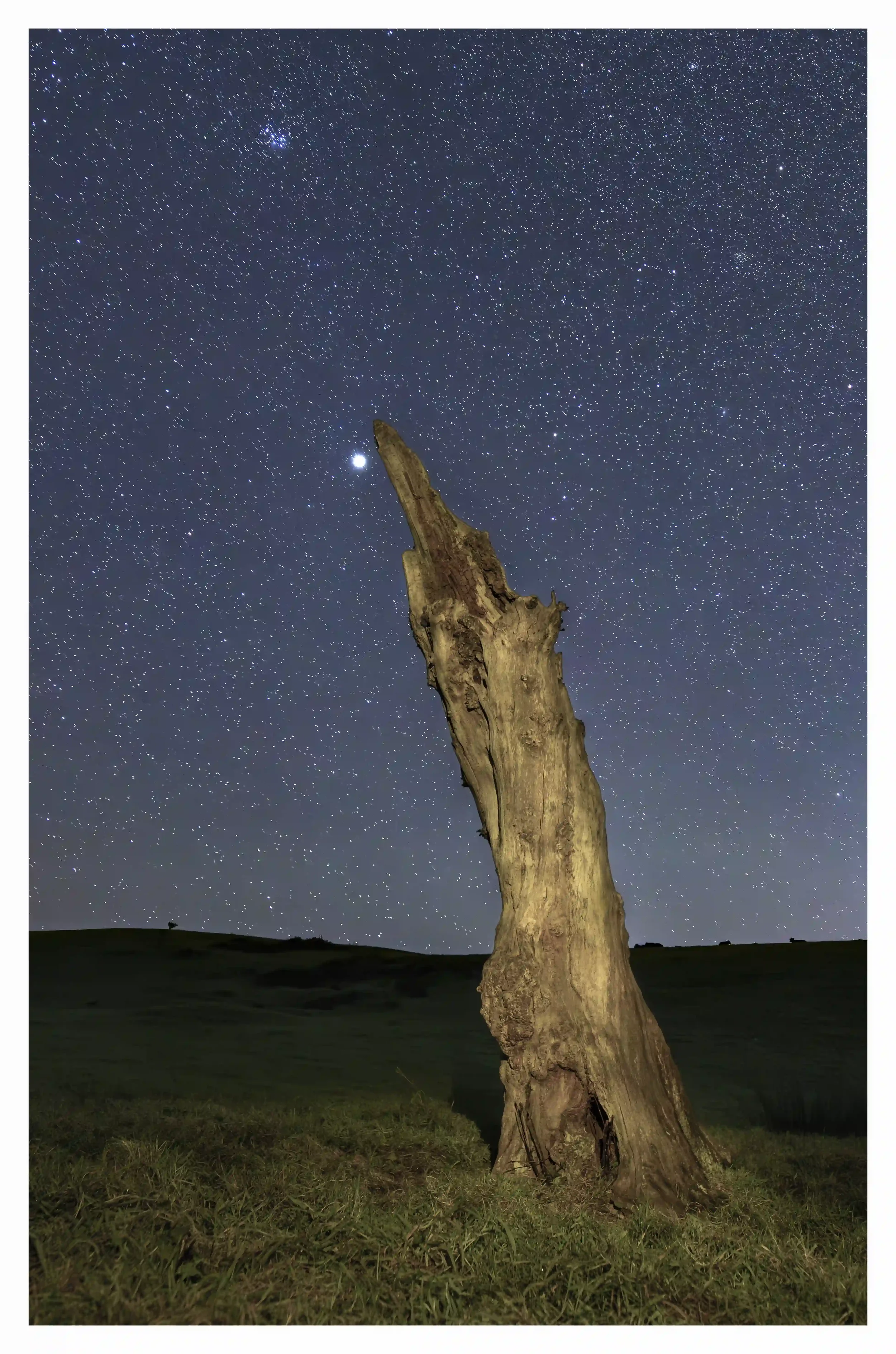 KEEP REACHING
An old tree that clearly is the state of decomposition, weathering and in the cycle of natural decay. Yet despite this it appeared so beautiful and intriguing to the eye, and as I looked at it during this moment; it still appeared as if