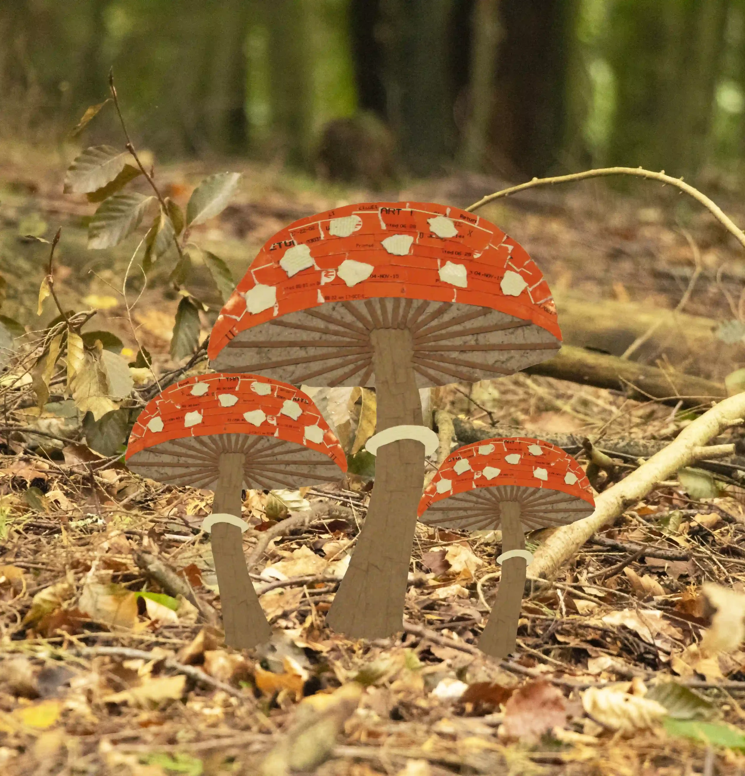 Recycled Fungi...
Just as Fungi itself feeds off the decomposing materials around it; I created a collage of fungi by using recycled materials I had at home. On its own; work seemed isolated and frozen. Layered over my photo from the woods; they come