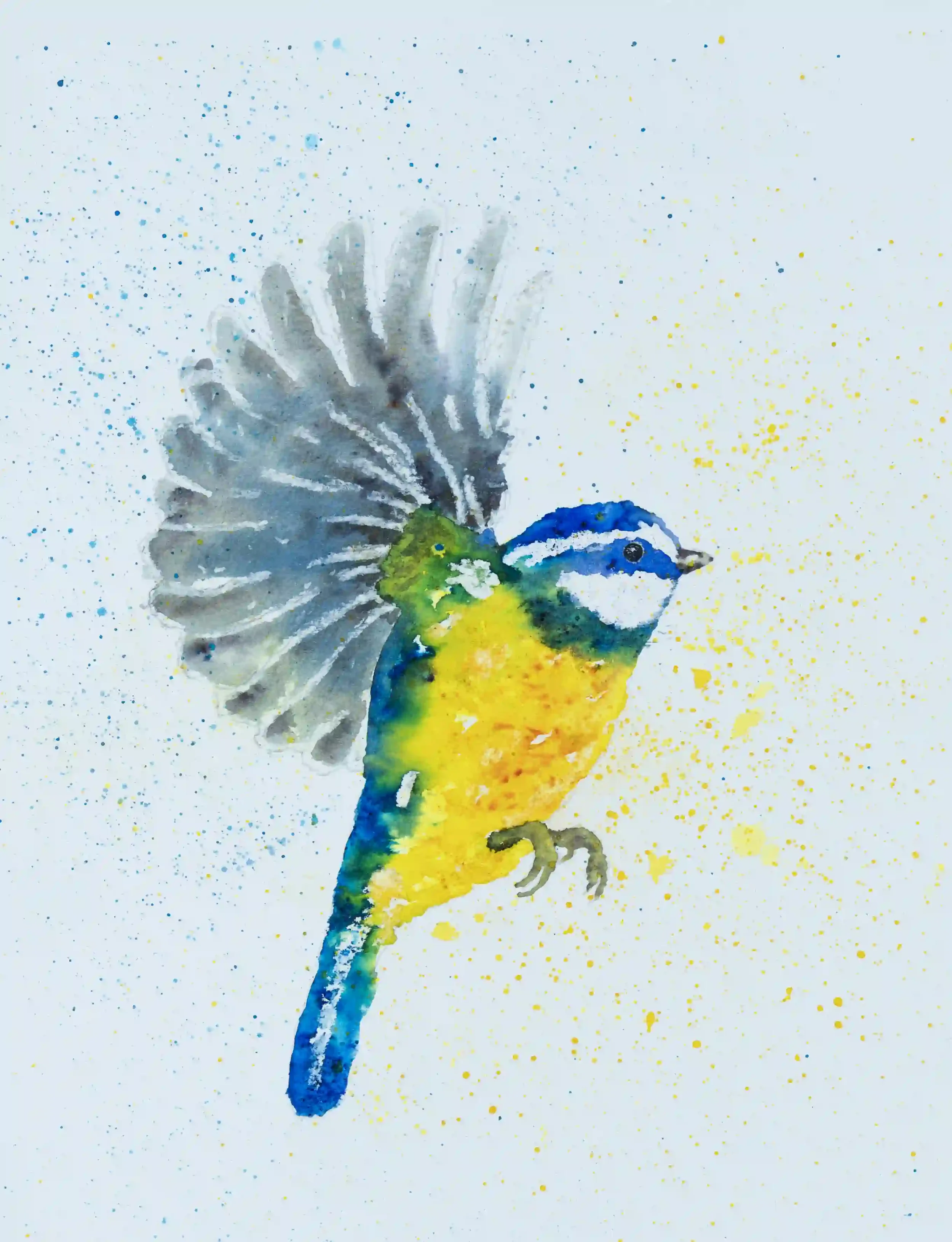 BLUE TIT IN FLIGHT; Inspired by own vision of Blue Tits in flight and the use of vibrant ink colours to try portraying the warming energy Blue Tits have.
Inks, Original on A4 watercolour paper