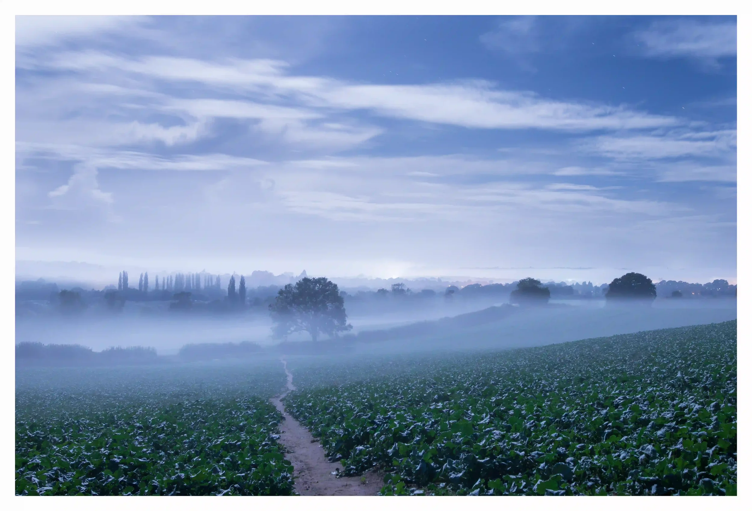 TRANQUIL MOONLIT CHANTRIES FIELD
Chantry Woods, Guildford, Surrey, UK. 
I sat in peace watching soft blankets of mist calmly cover Surrey on this calming moonlit night. I had temporarily left life in town behind; modern life stresses felt as if they 