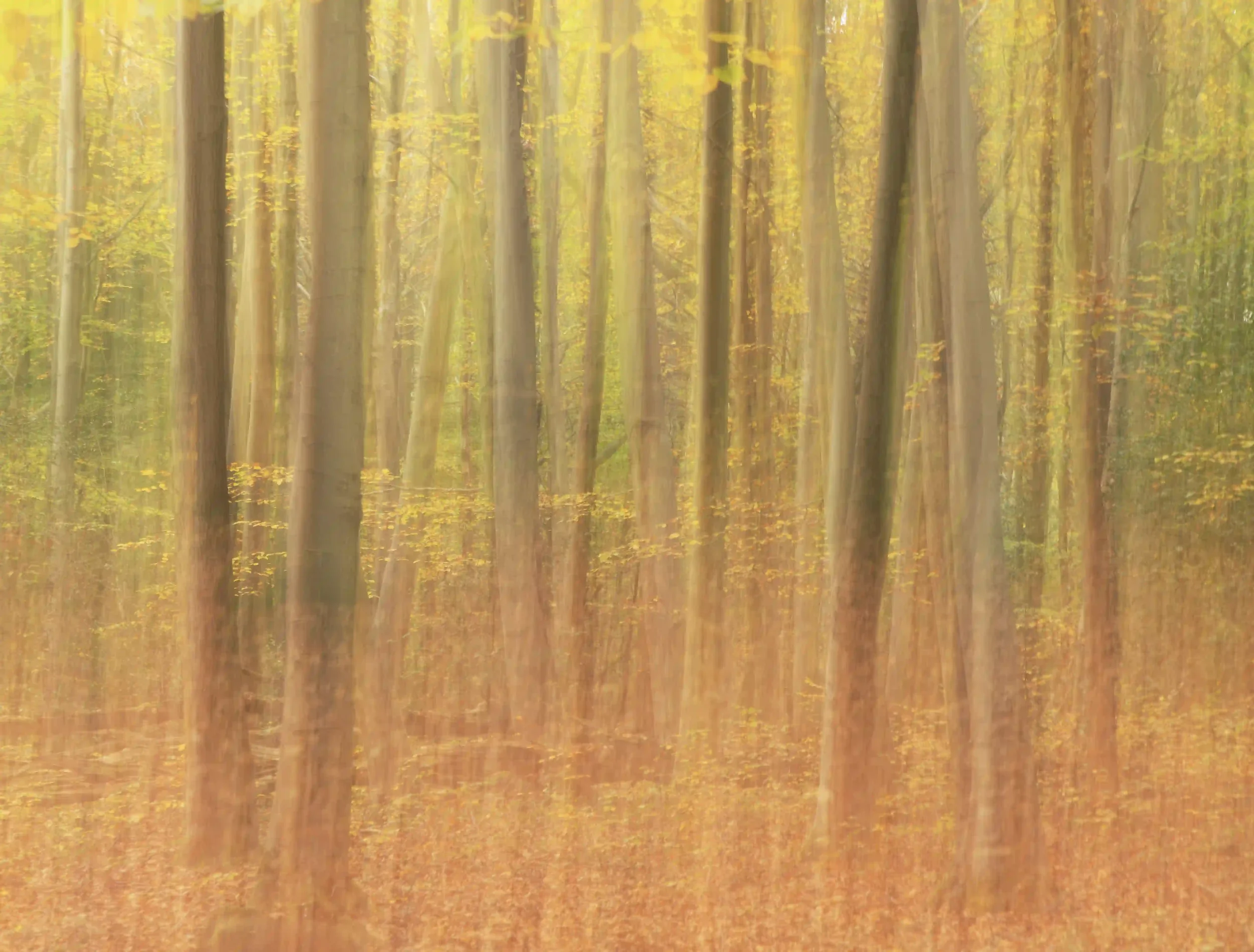 Abstract Landscapes