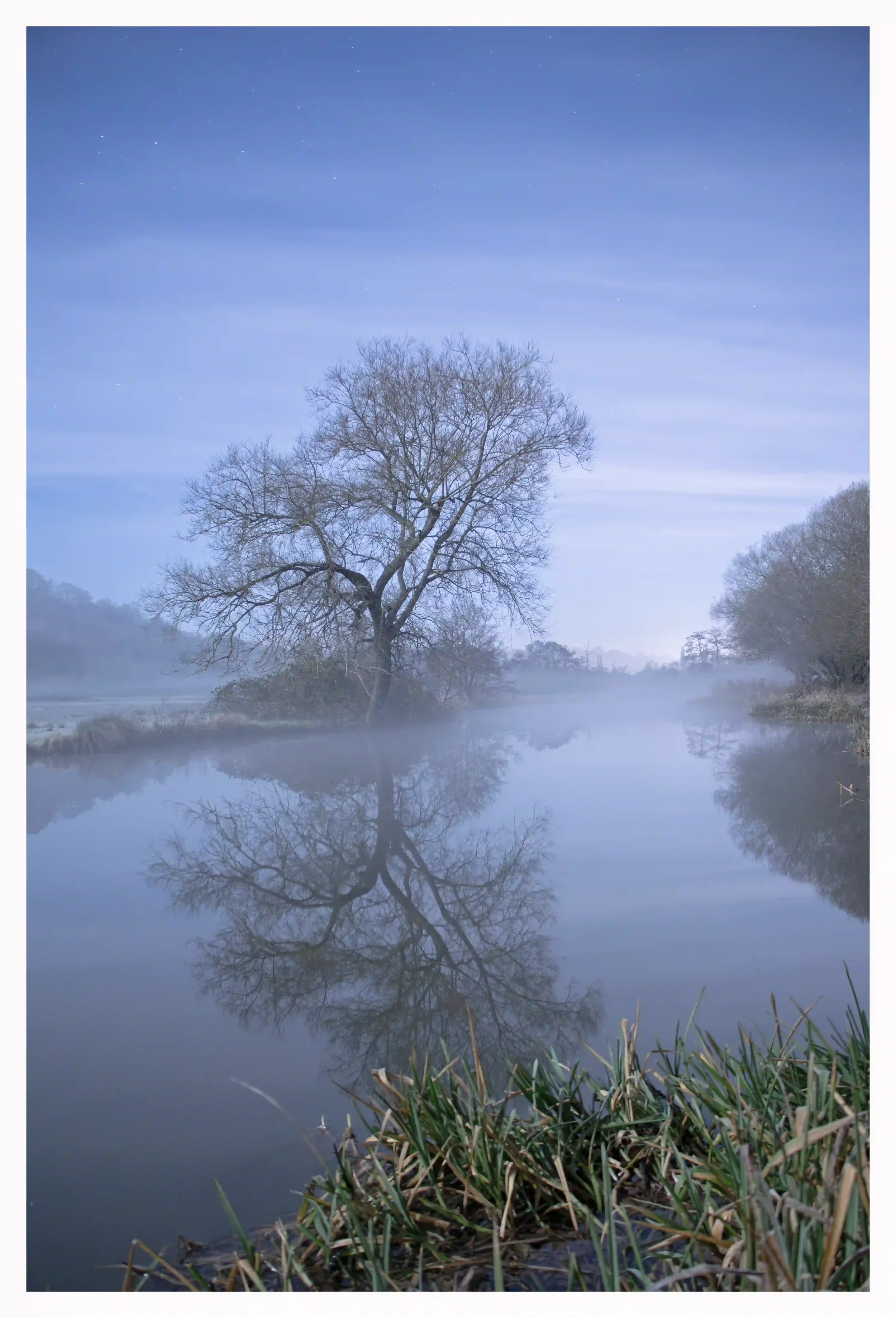 SOLITUDE
River Wey, Godalming, Surrey, UK.
A tree that seemed to stand quietly and proudly on its own on this calm moonlit night; almost as if it was watching the steady flow of the river in a time of self-reflection. 
I have found some times of choo