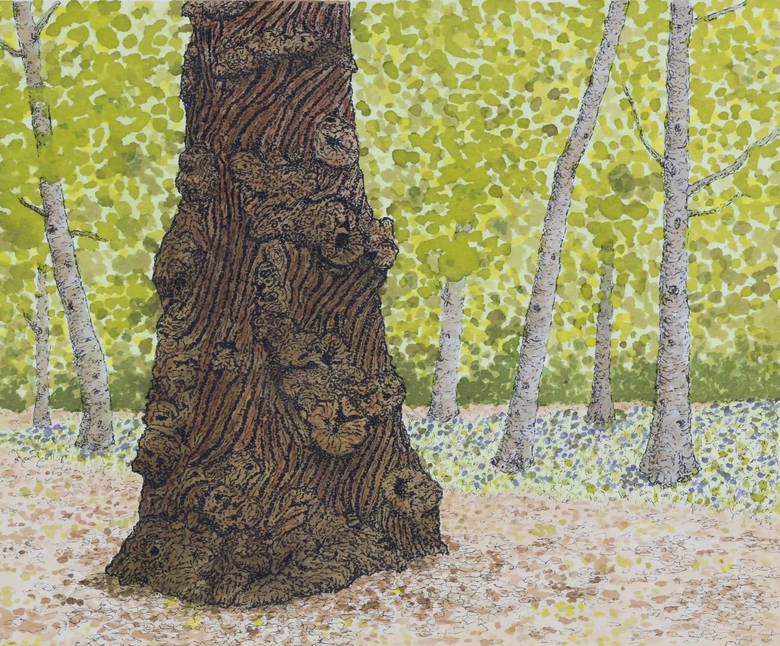 SILENT TREE MOTION   
Fine Line Pen and Inks on A4 watercolour paper
Inspired by own photo from the Chantry Woods, Guildford, Surrey, UK.
I was intrigued and captivated by the character and sense of changing directions on this old sweet chestnut tree