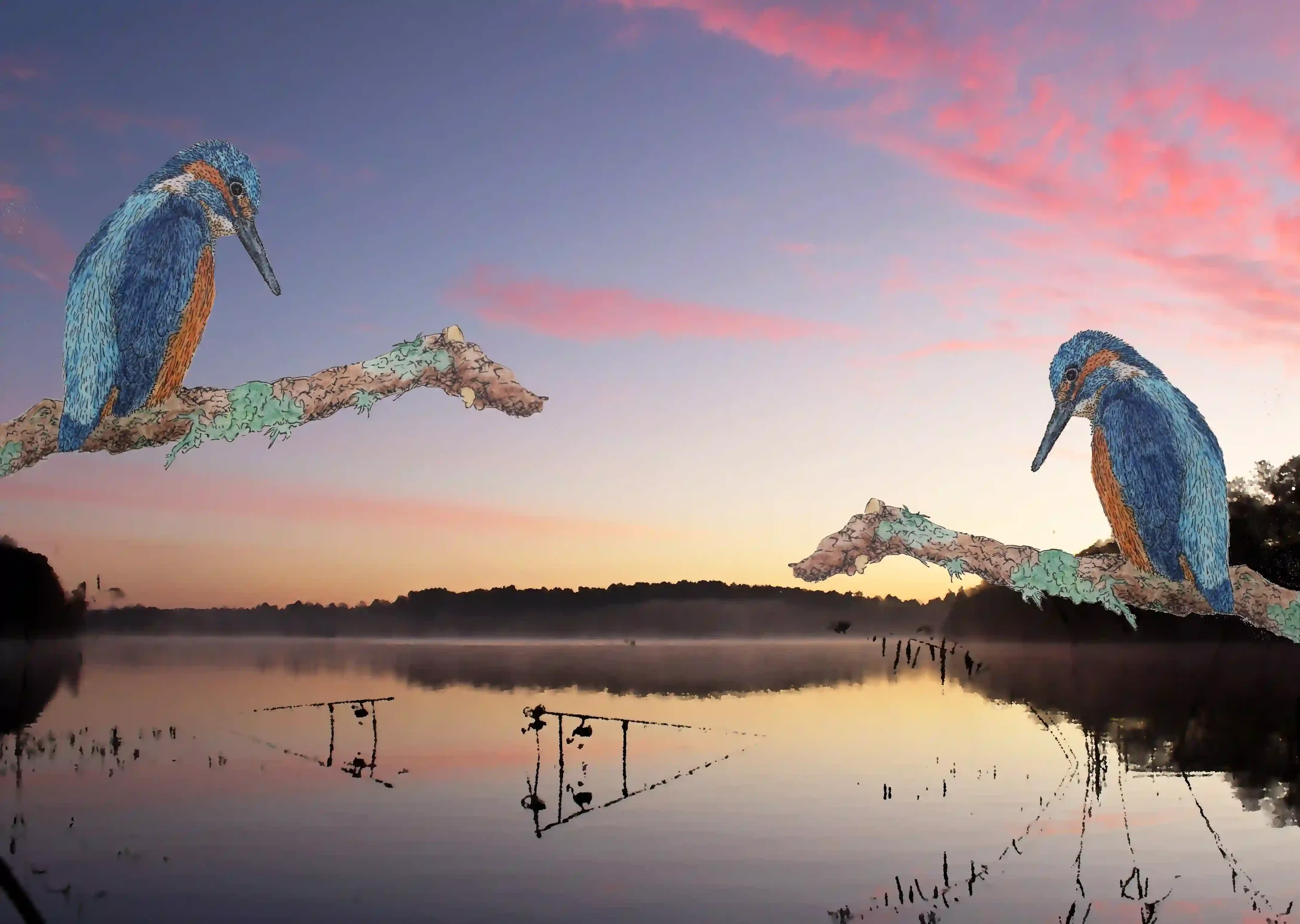 Gone Fishing...
Using a photo I took whilst fishing Frensham Big Pond with my older brother at dawn, rods out in the water, Layered 2 of my king fisher pen and watercolour art work over the top. And just like me; showing peace and patience whilst wai