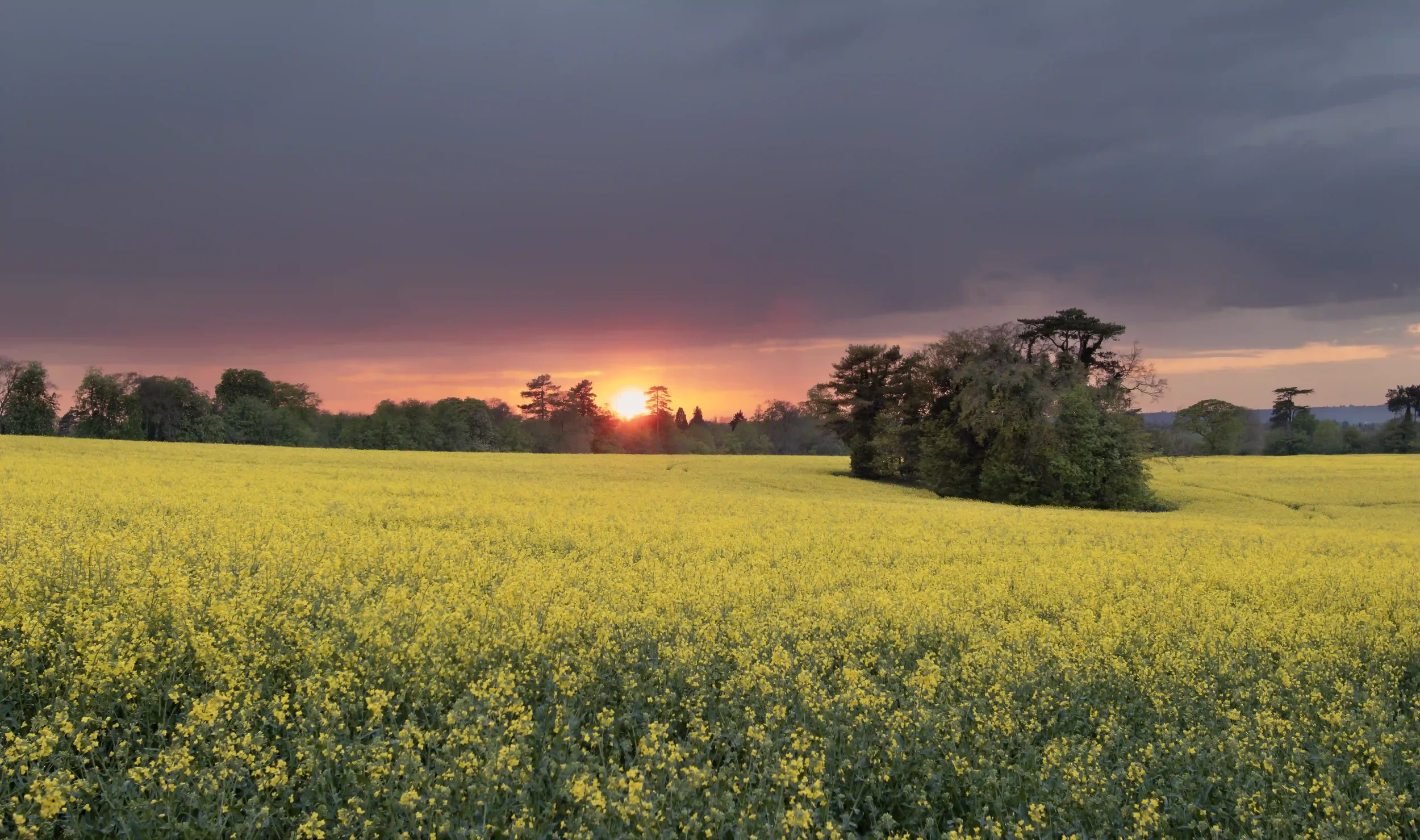 Fields and Hills