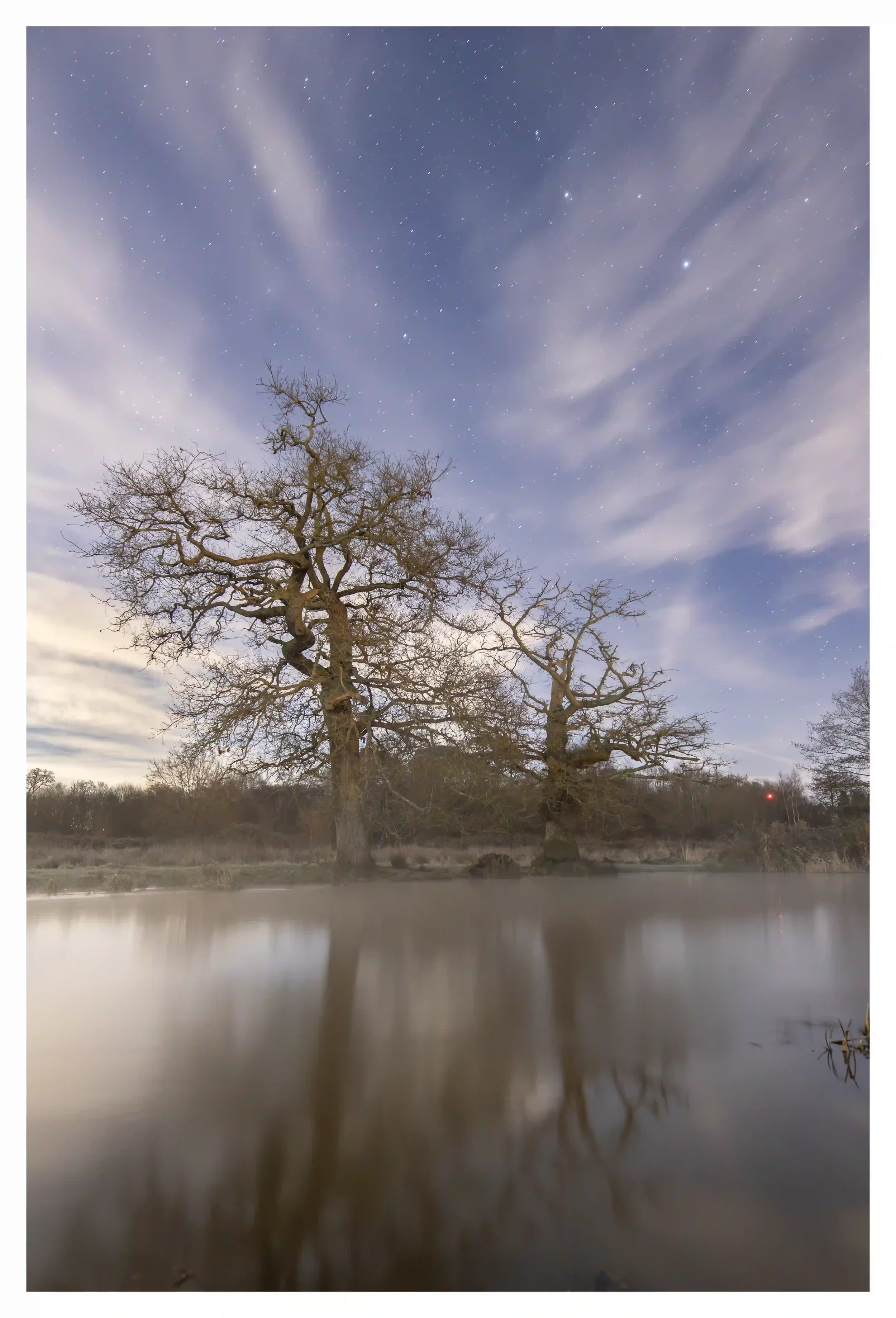 OPTIMISTIC OAKS
St Catherines Lock, Guildford, Surrey, UK.
These oaks appeared to stand proudly; freely reaching for the vastness of the night sky. And just to think all the weather and regular winter floods they have endured; yet there they stand wi