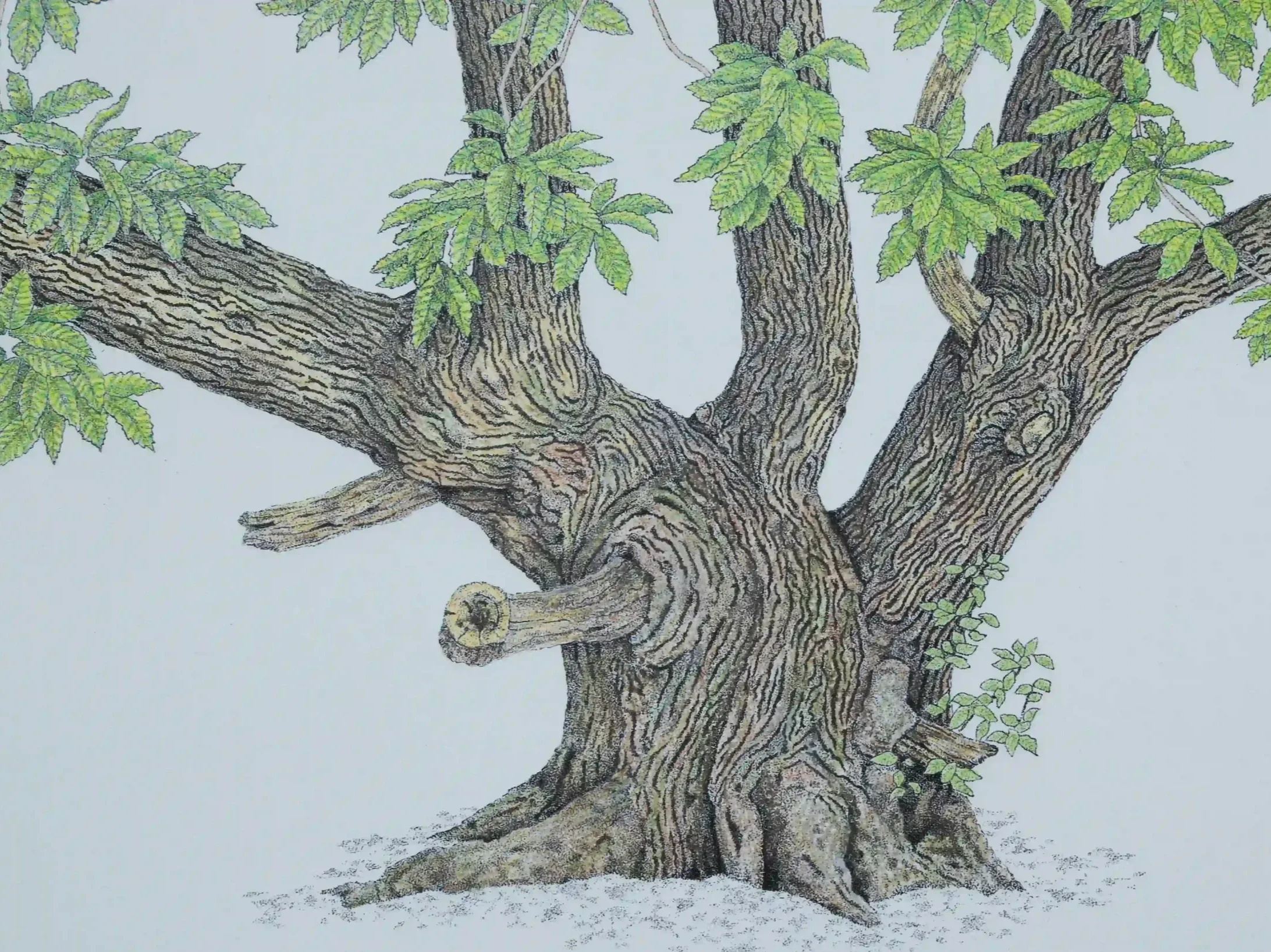 Trees