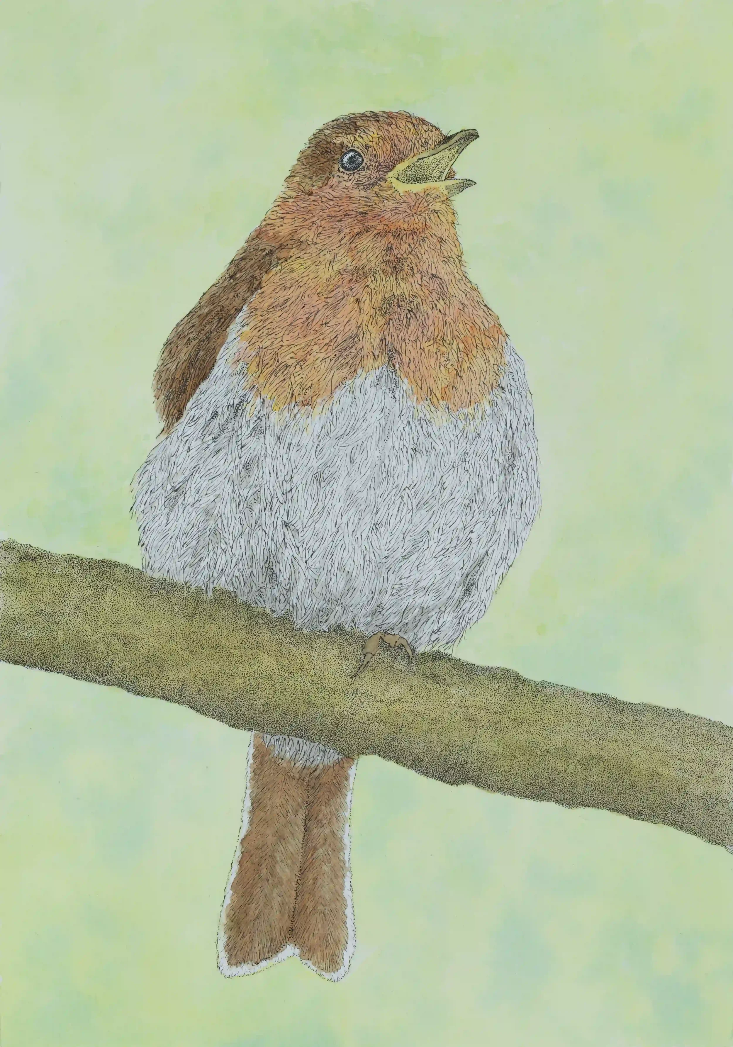 ROBIN IN TUNE: A song from a robin can be soft and inviting. Their delicate sounds can be so comforting to listen to; especially when they are doing it with just you around to see and hear it in action. Truly Wonderful. Inspired by own photo. Fine Li
