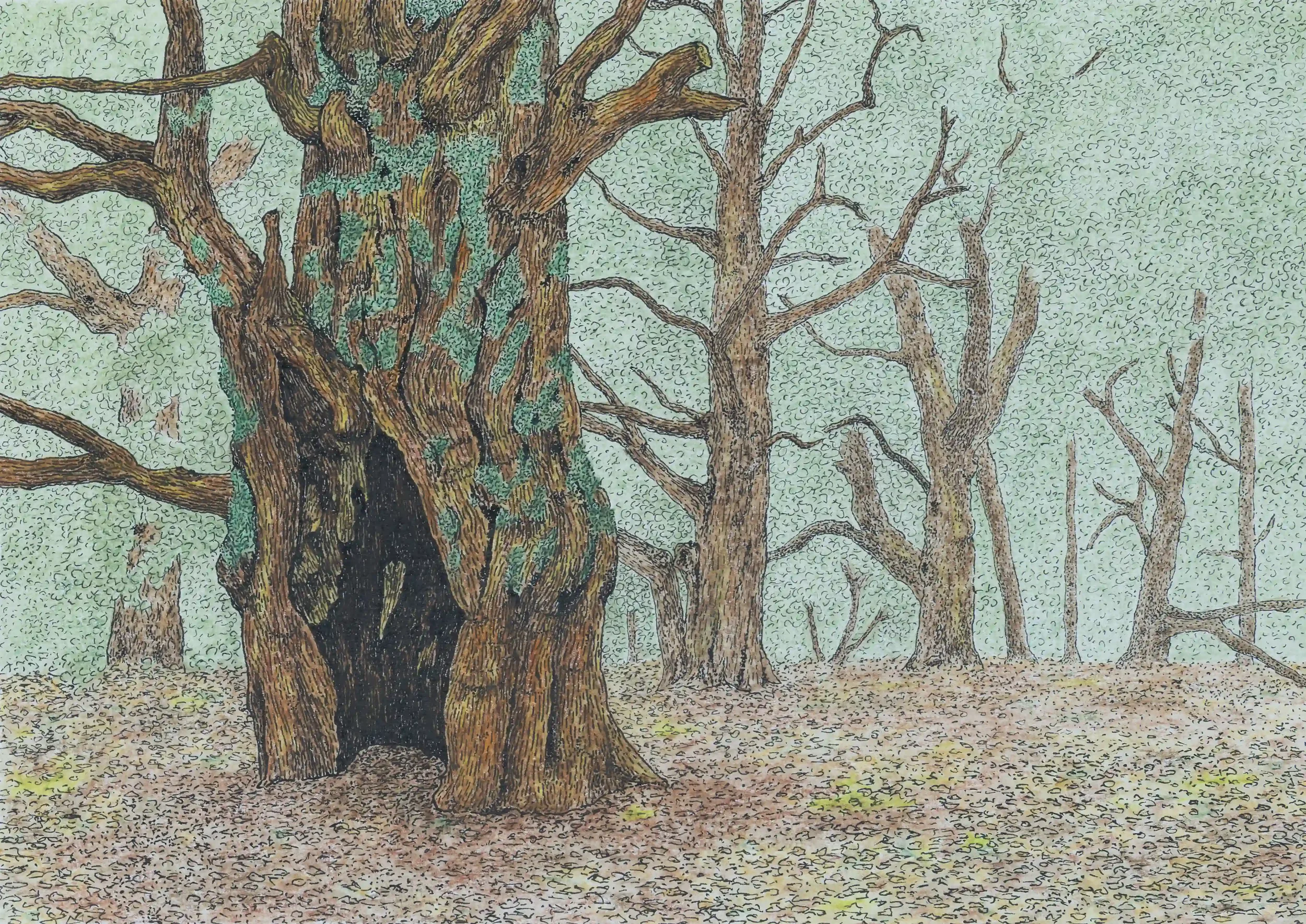 NEWLANDS CORNER WOODLANDS...
Fine Line pen and watercolour pencils, Original on A4 watercolour paper
Inspired by own photo from Newlands Corner, Albury, Guildford, Surrey, UK.
A woodland that has so many stories to tell as the old trees with such cha
