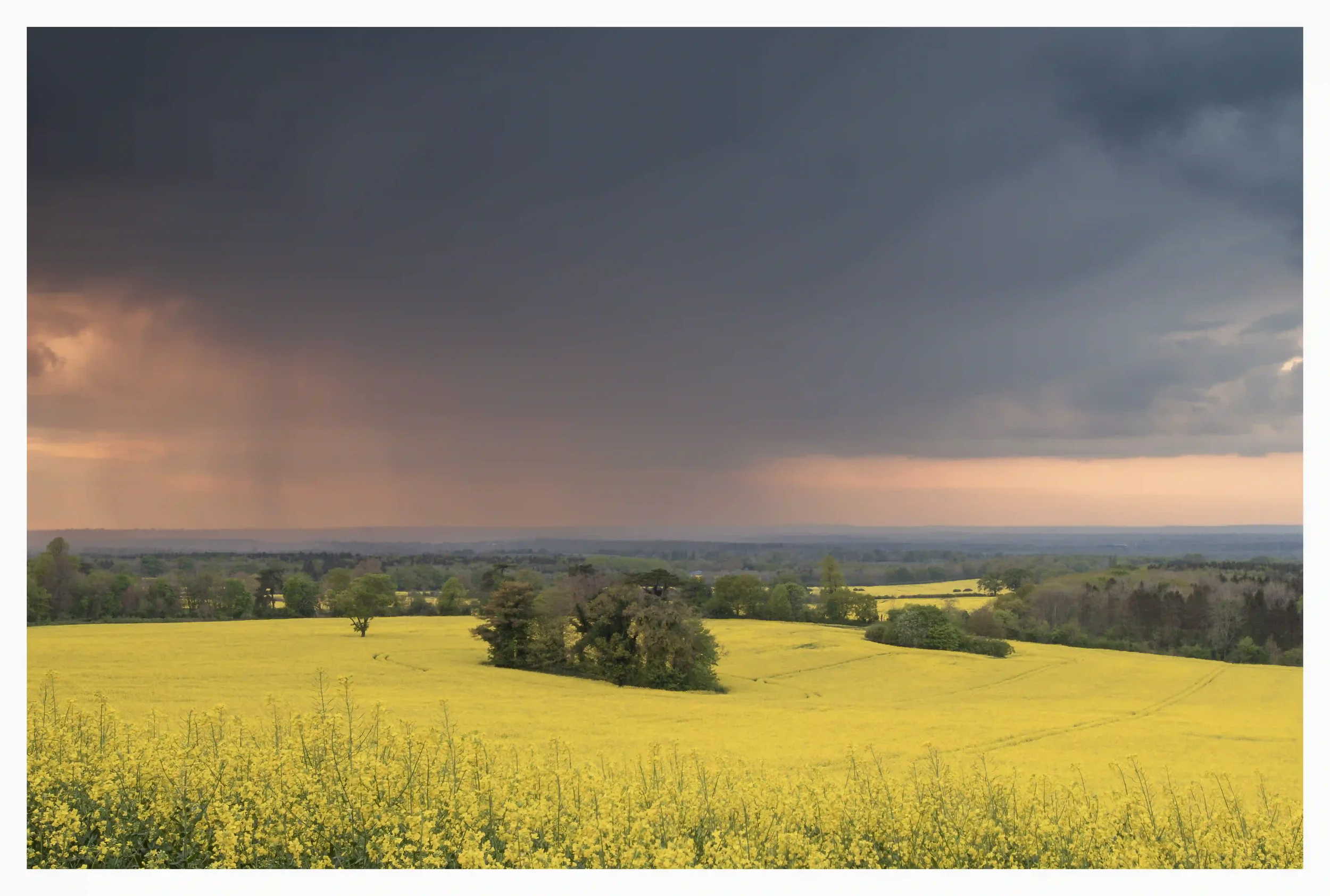 APRIL SHOWERS
A reminder of how nature can change so quickly and just how dramatic weather can appear in contrast with the landscape. These warming yellow fields of spring under the dark clouds and heavy rain showers that drifted freely across in fro