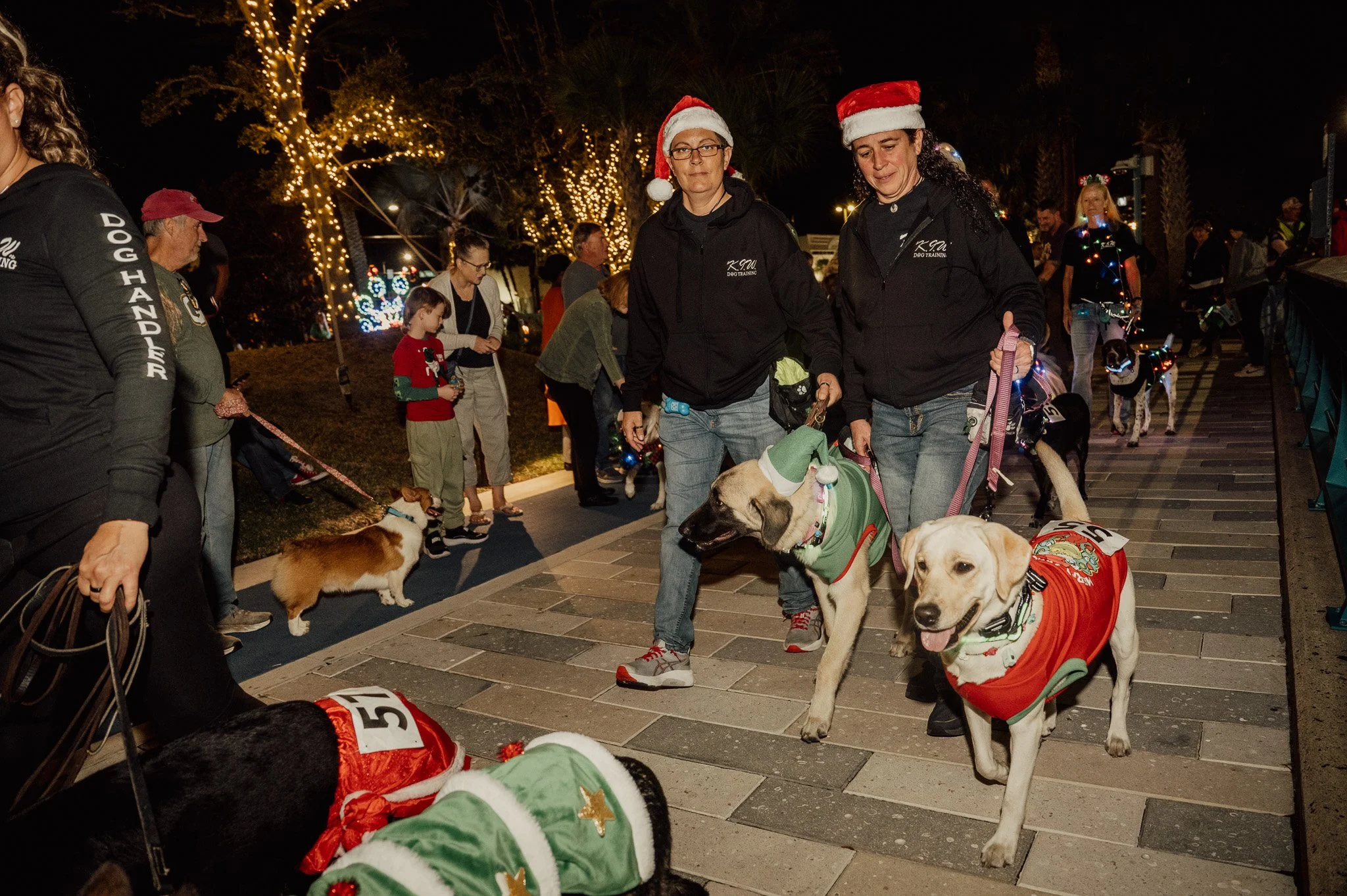 Three Pets Registration