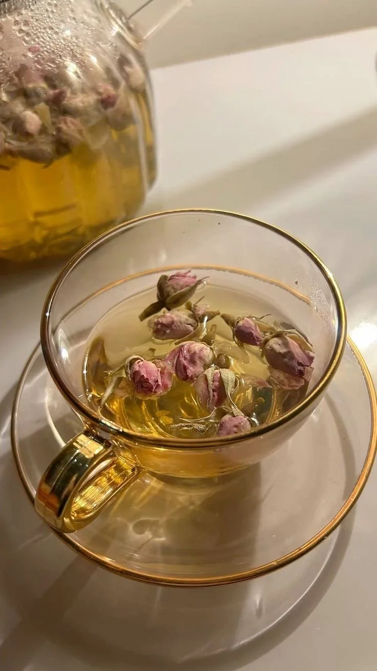 Wellness and Self Care